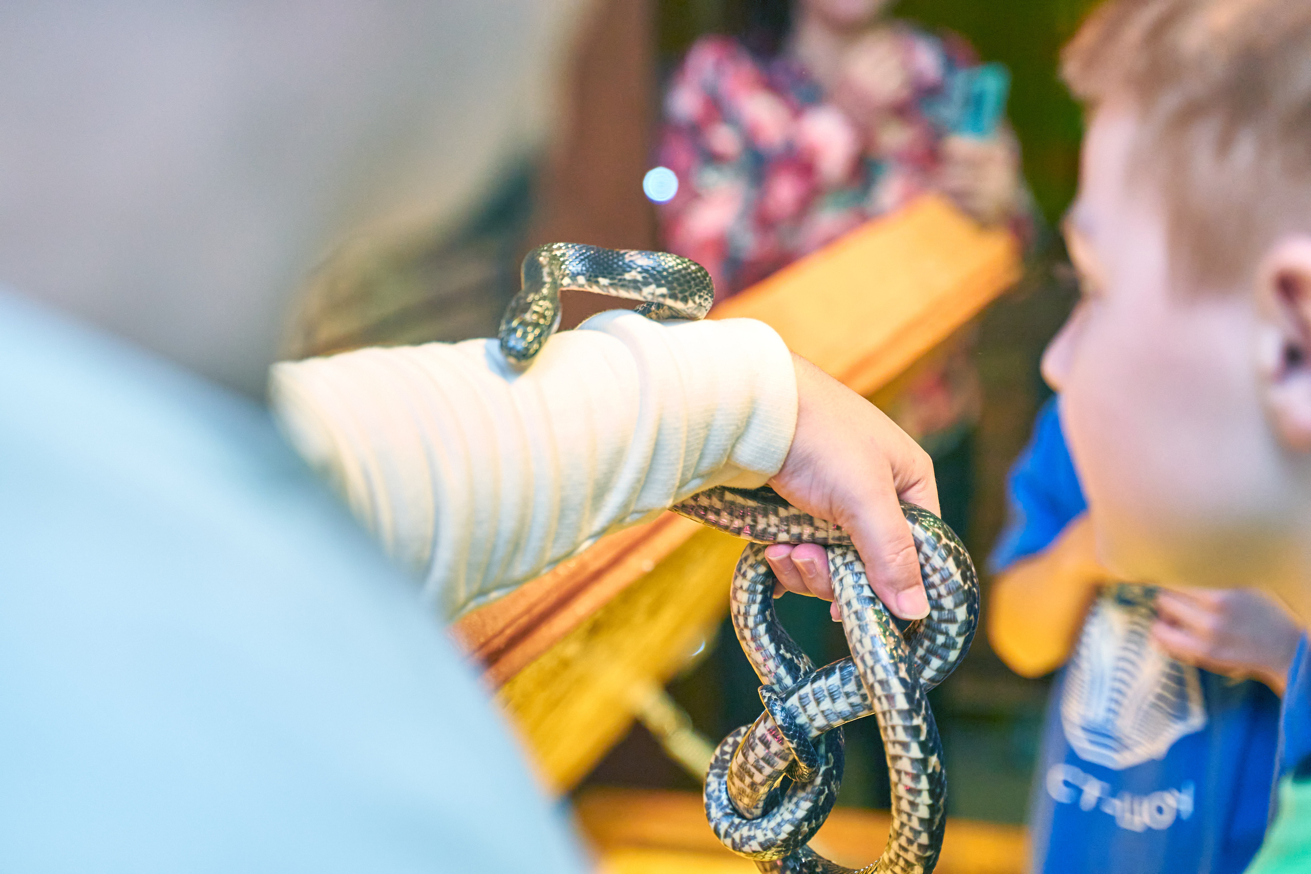 Детский день рождения. Выпускные фотокниги во Владивостоке Джуган Елена