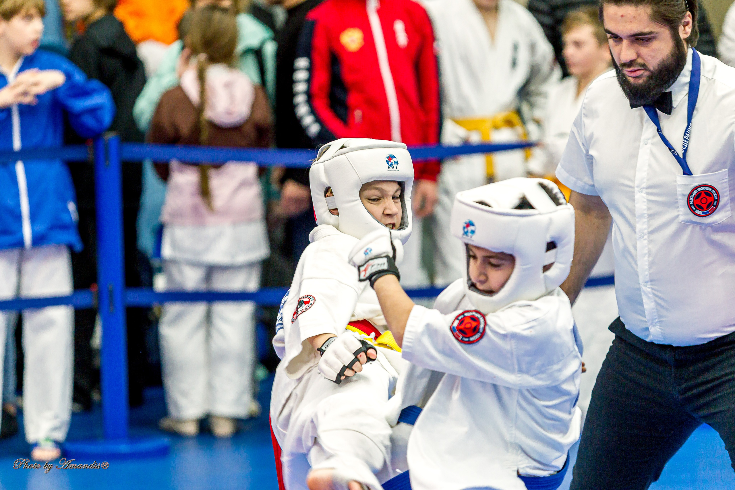 Чемпионат по Киокушинкай Центрального Федерального округа. Репортажная съемка в Москве и области. Анималистика