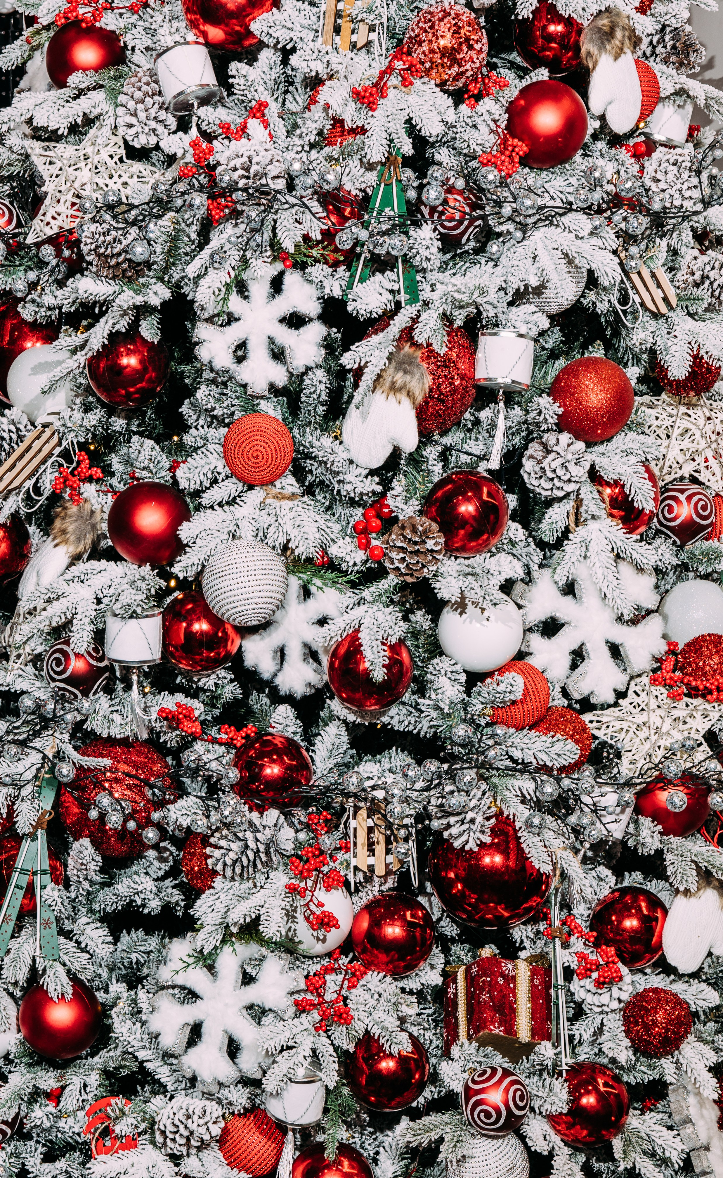 Мероприятия. Фотограф Марина Аблаева-Кожедуб