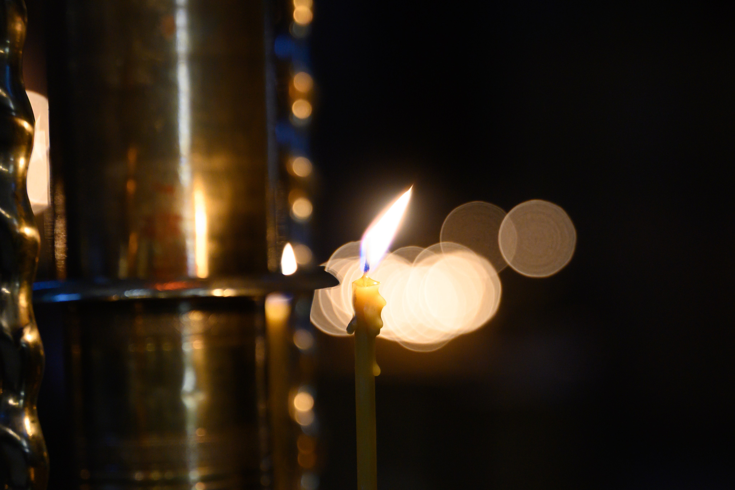 Троице-Сергиева Лавра 9.03.2025