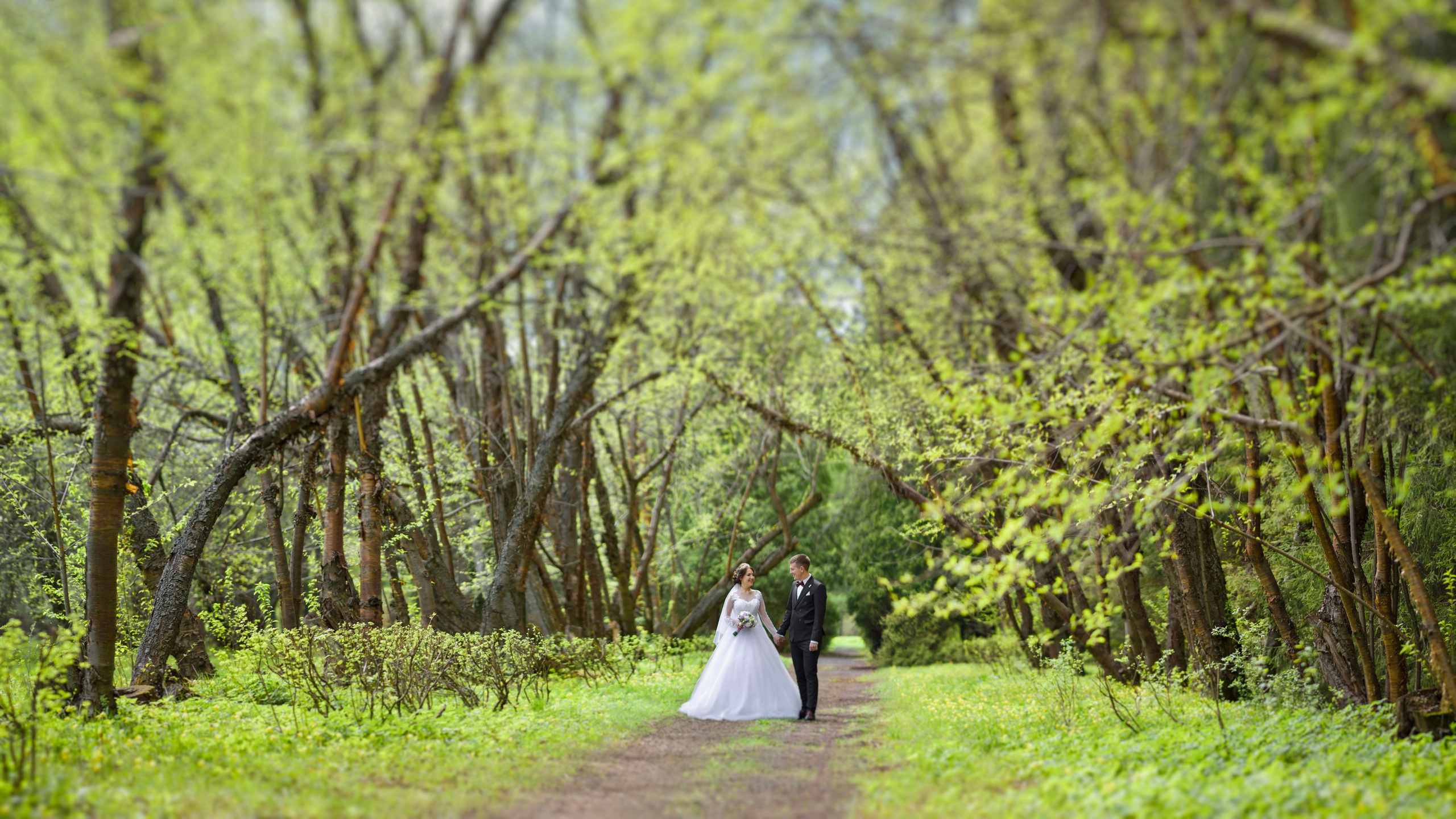 Свадебная Фотосессия в г. казани | Фотограф на Свадьбу в г. Казани Фотограф Садег Азарми тел. +79172288430 ✔ Сборы невесты и жениха✔ Утро невесты (детали, эмоции, подготовка)✔ Репортажная съёмка ЗАГСа и выездной регистрации✔ Свадебная прогулка✔ Фотосъёмка банкета и вечеринки✔ Креативные и тематические свадьбы✔ Свадьба на природе (лайфстайл)✔ Девичники и мальчишники