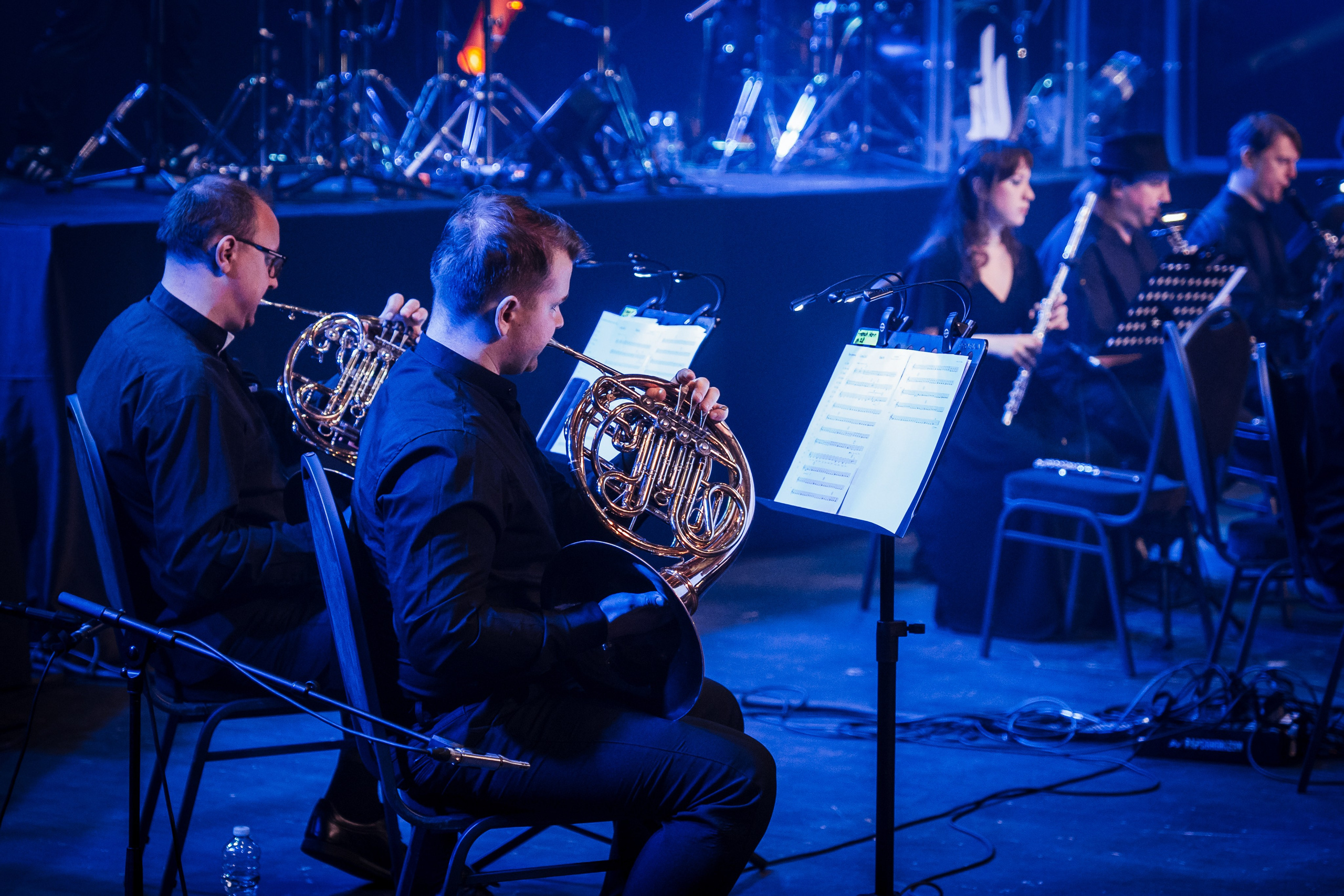 Алексей Горшенёв. Магия музыки в кадре: Концертная Фотография