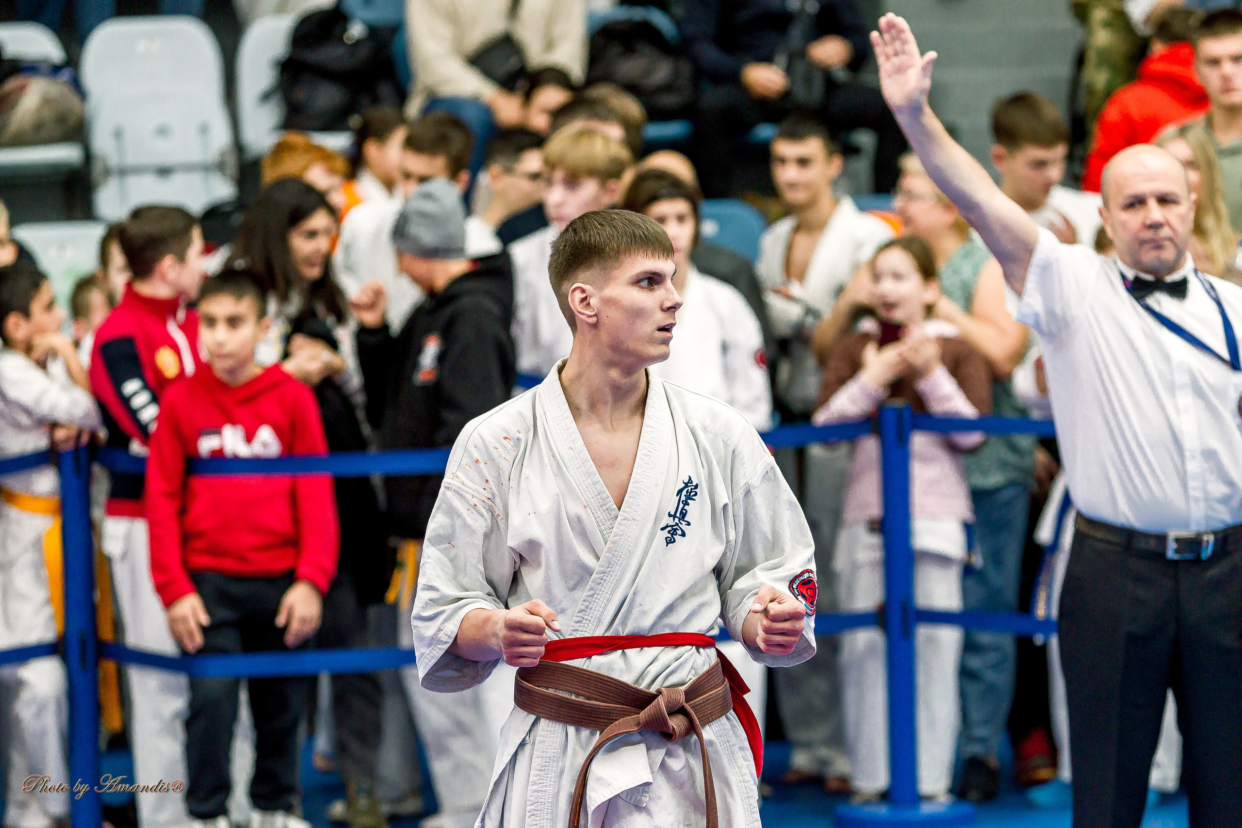 Чемпионат по Киокушинкай Центрального Федерального округа. Репортажная съемка в Москве и области. Анималистика