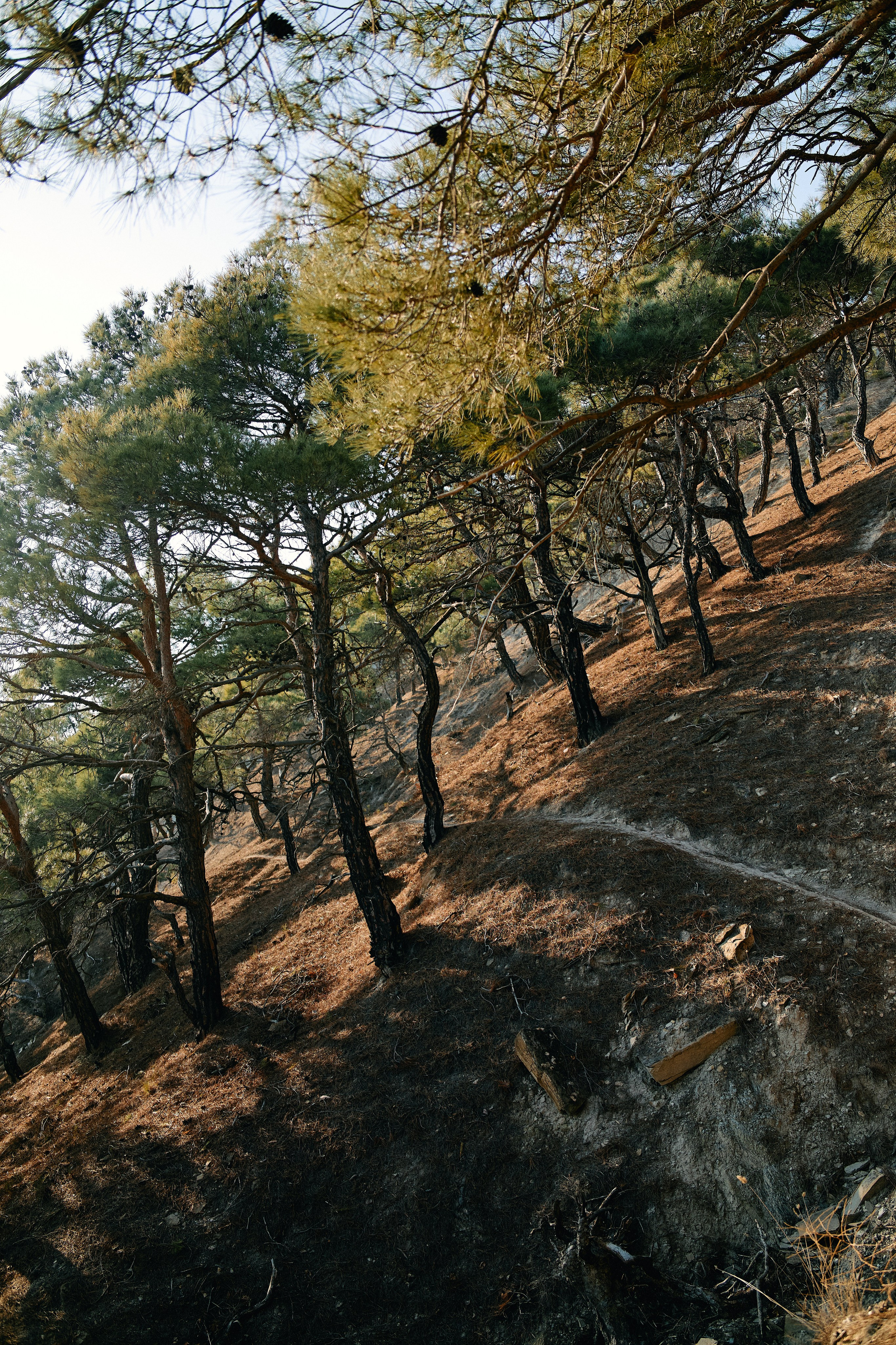 Юг России. Профессиональный Фотограф во Владимире, в Москве и в Суздале — Полина Романычева