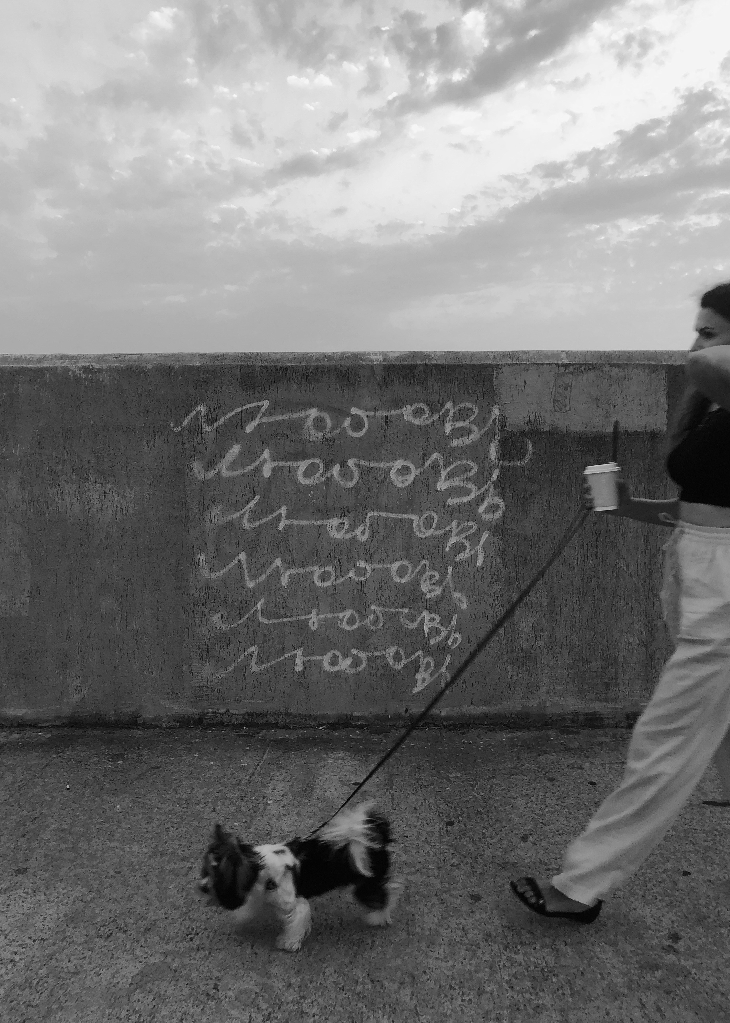 Автор: Анастасия Пиганова