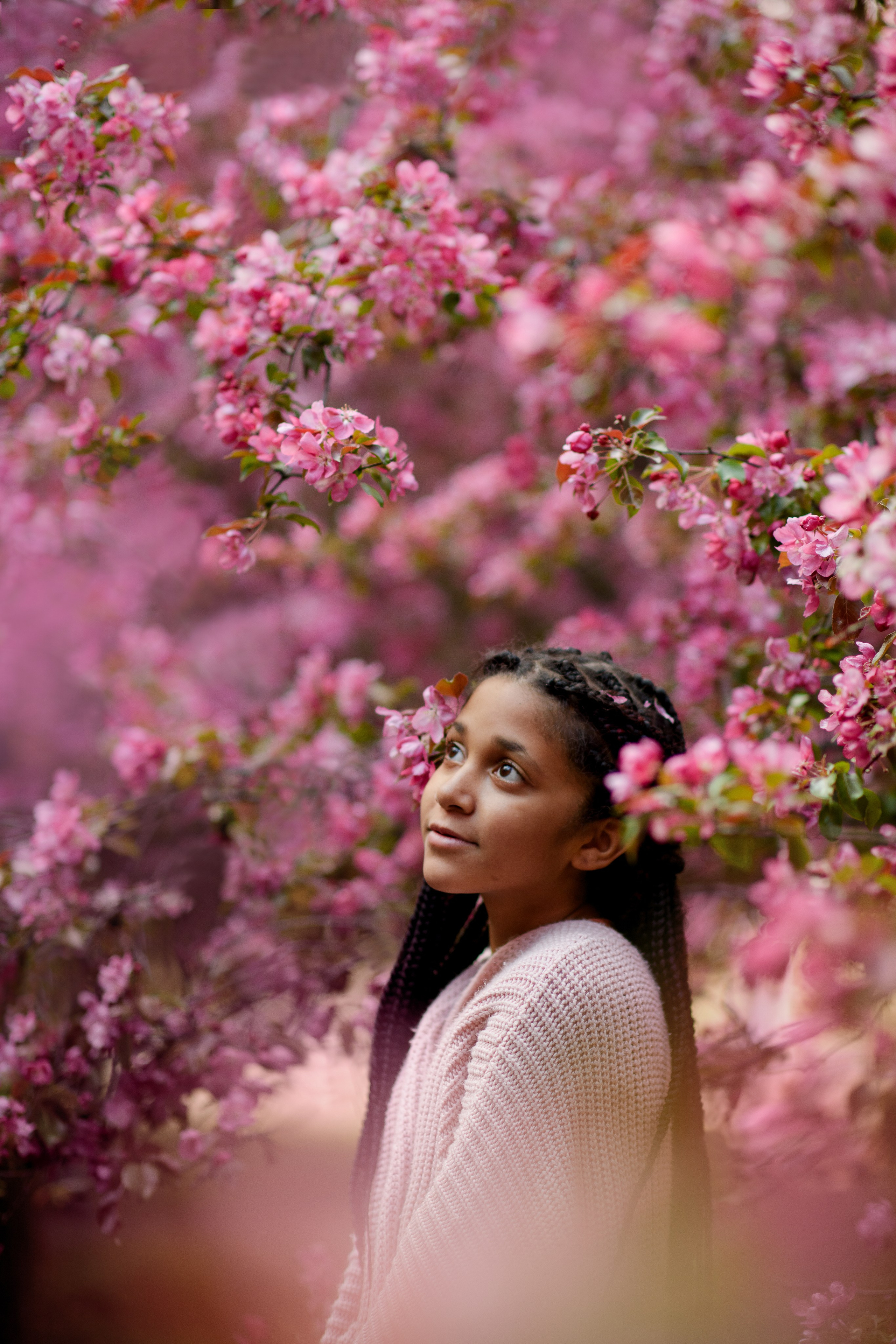 Яблони в Коломенском. Ясмина. Главная