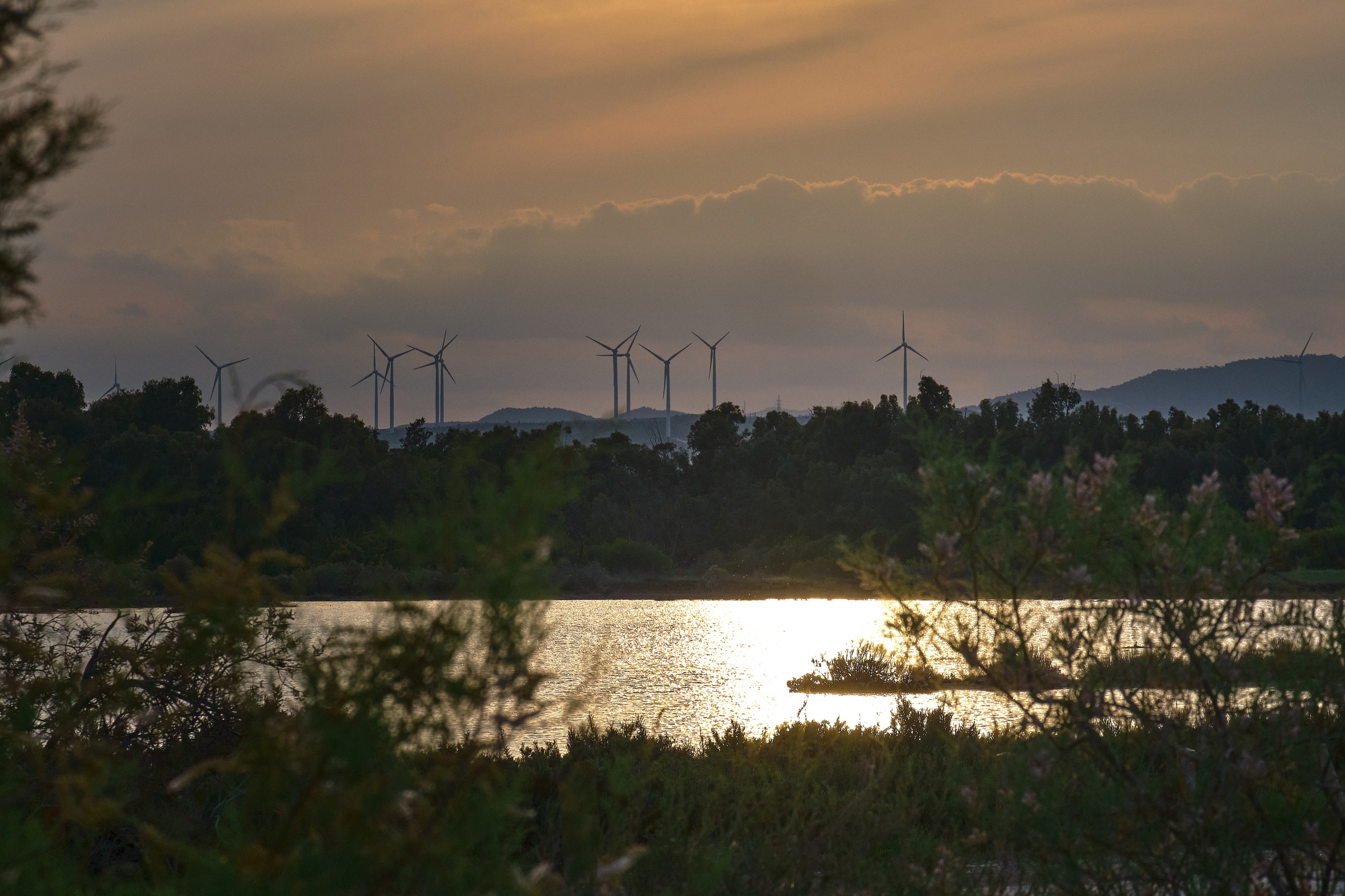 Cyprus 2024 / march. Aleksandr Kobtsev