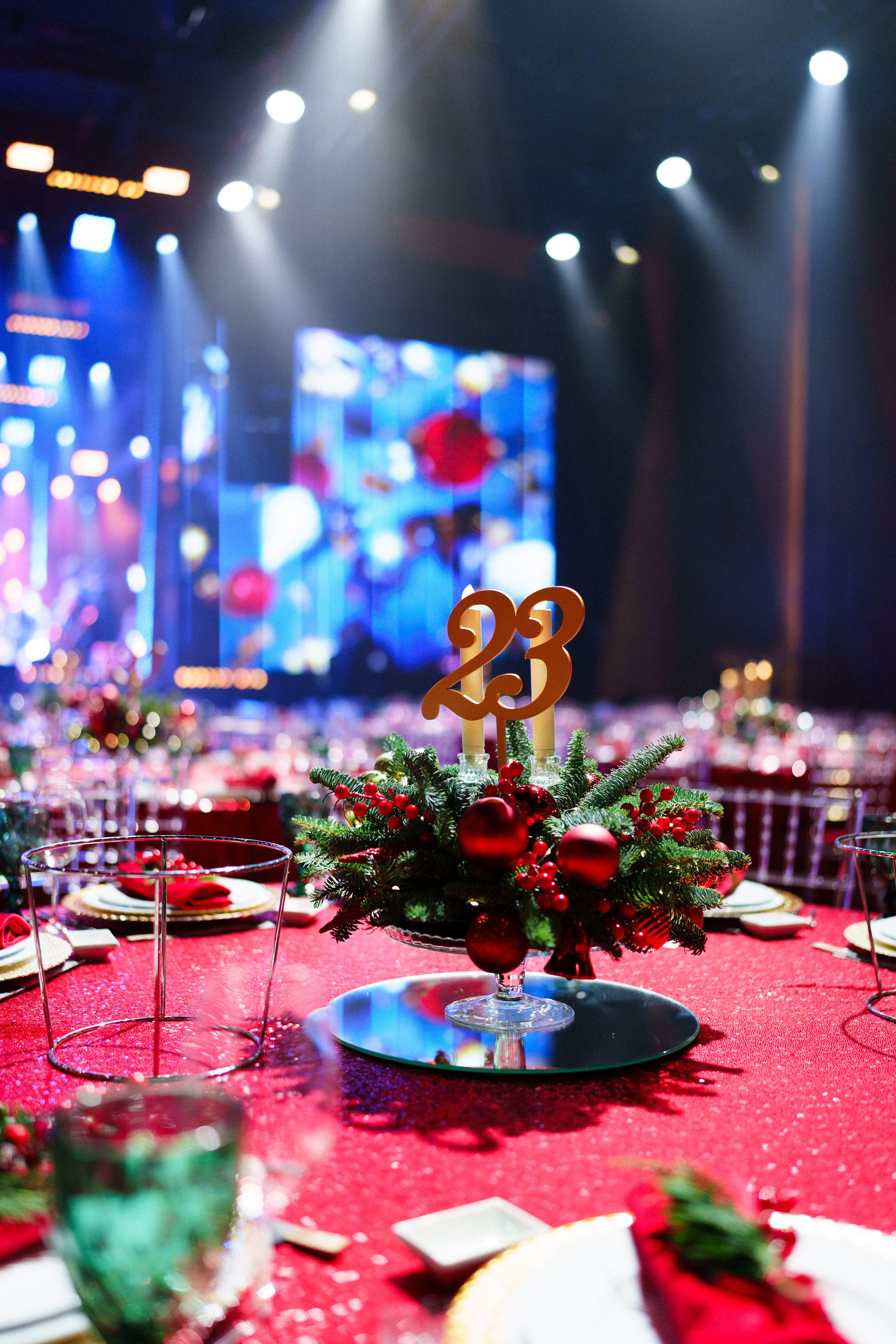 Lapino Hall. Свадебный фотограф