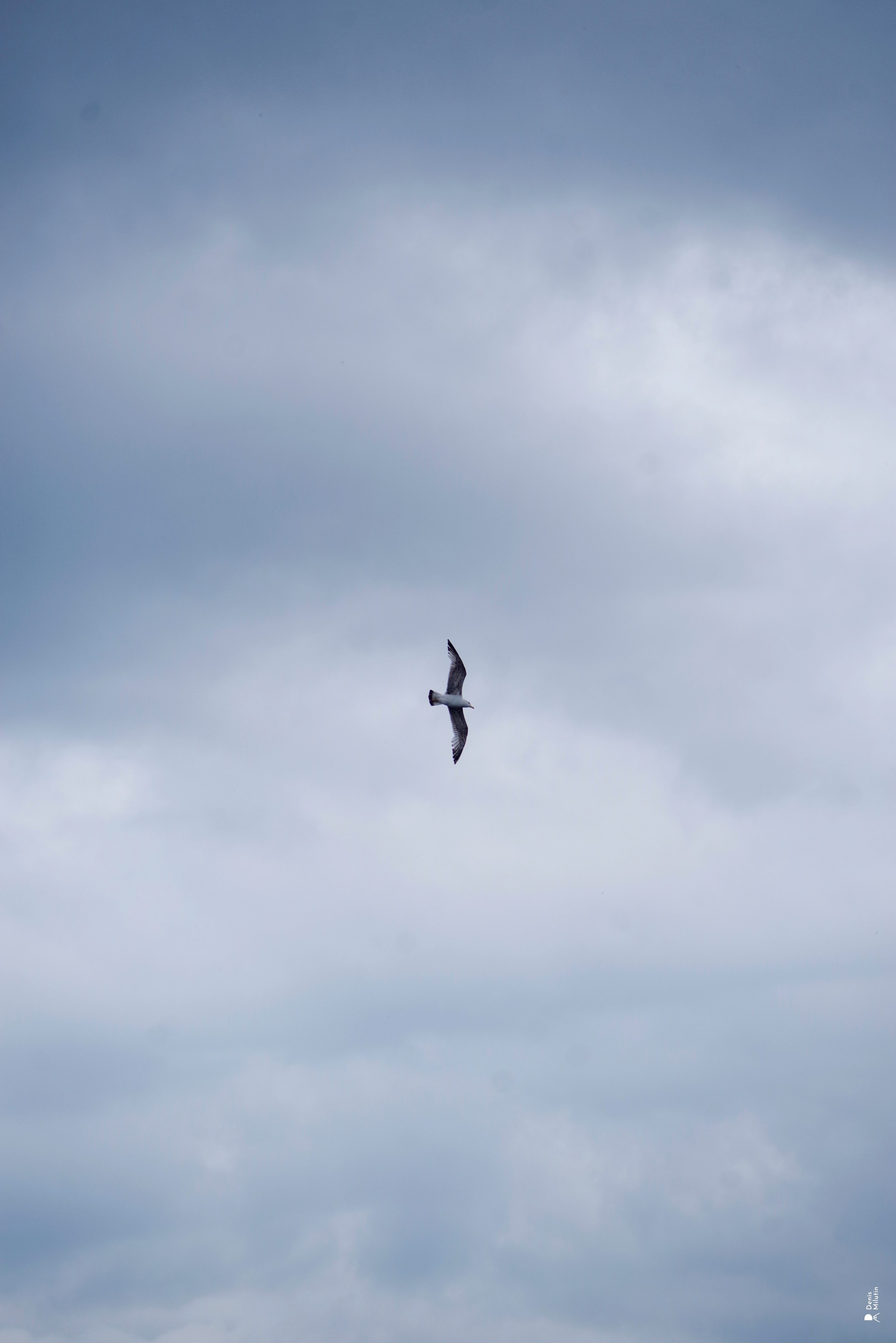 В отпуске с Артёмом. Портретный фотограф Денис Милютин