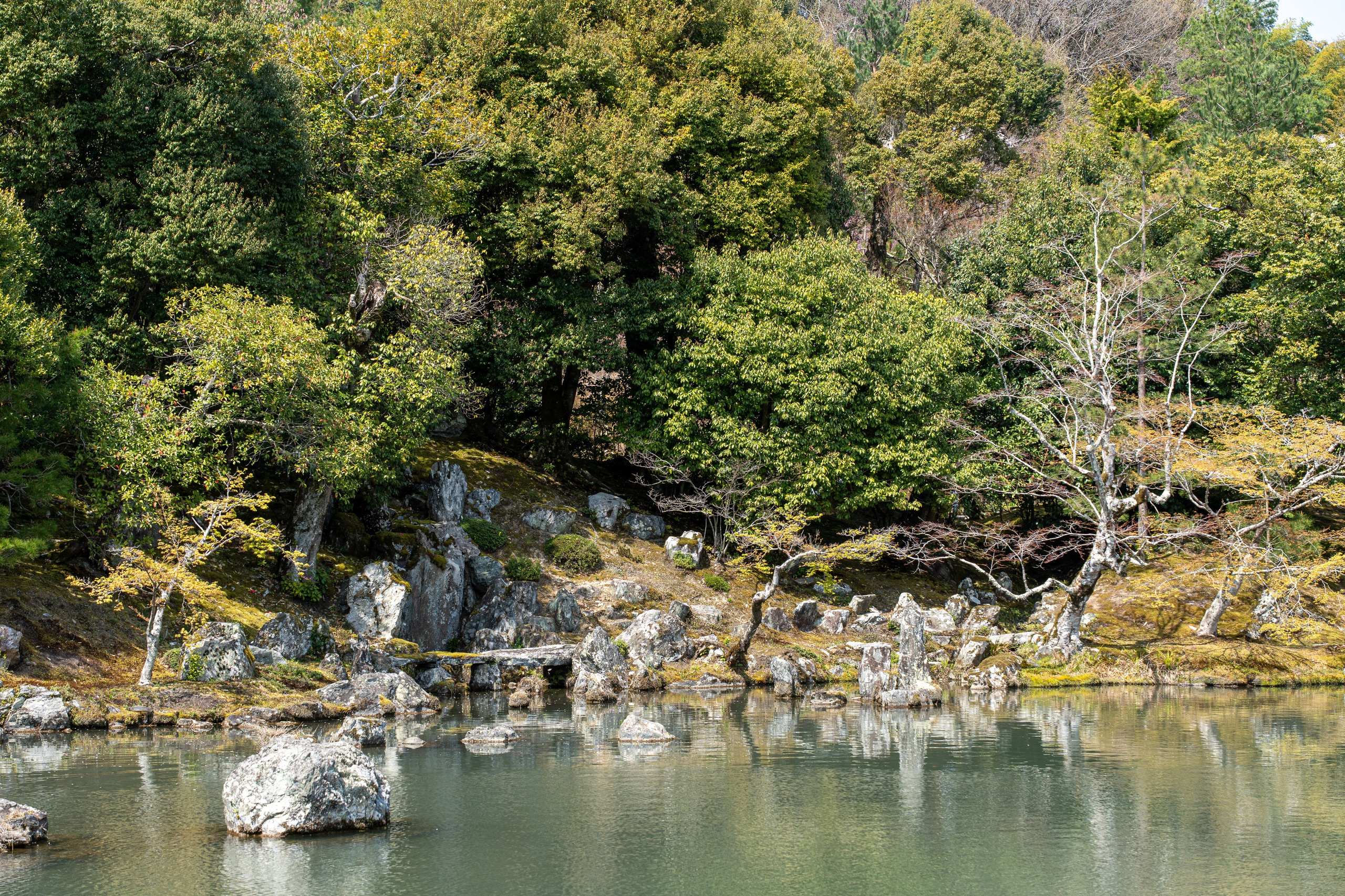 Япония, сакура. Творческие сьемки