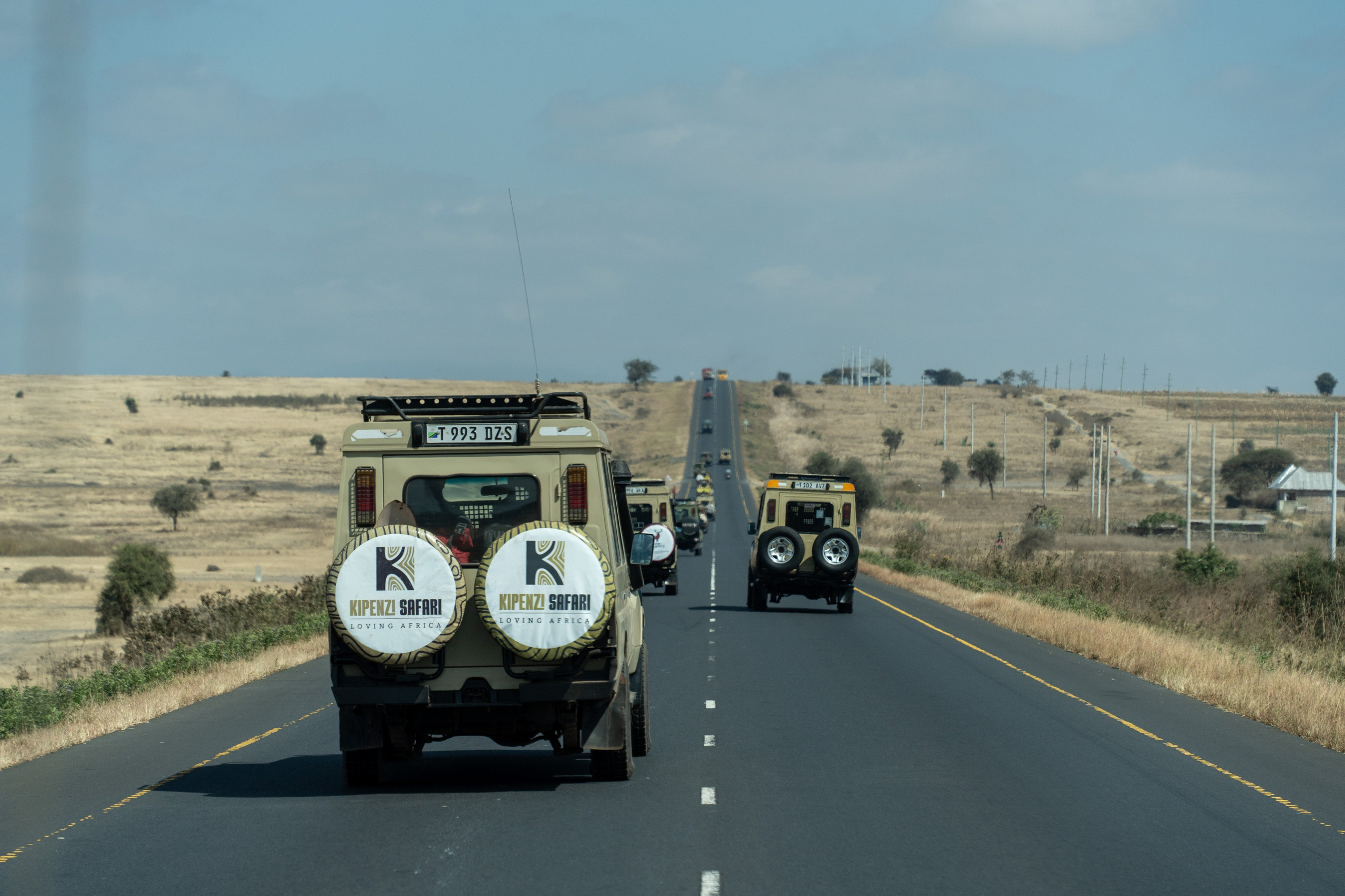 Танзания, сафари, 2025. Творческие сьемки