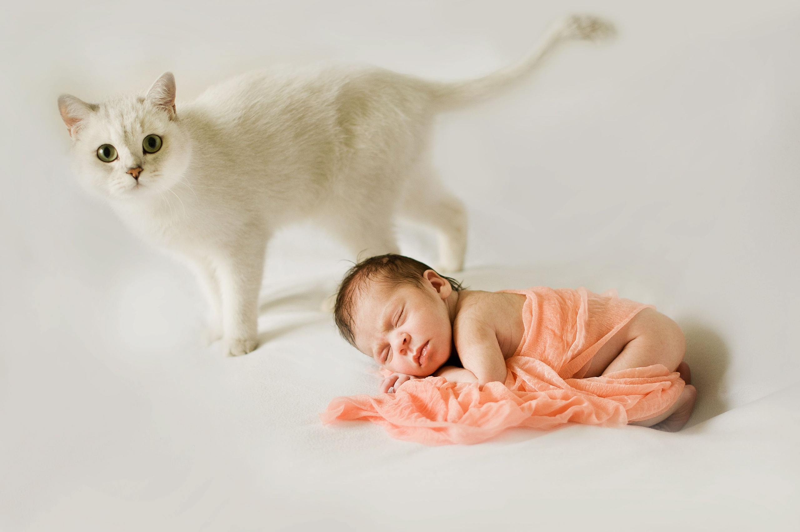 МЛАДЕНЦЫ. Фотограф Вера Демидкова