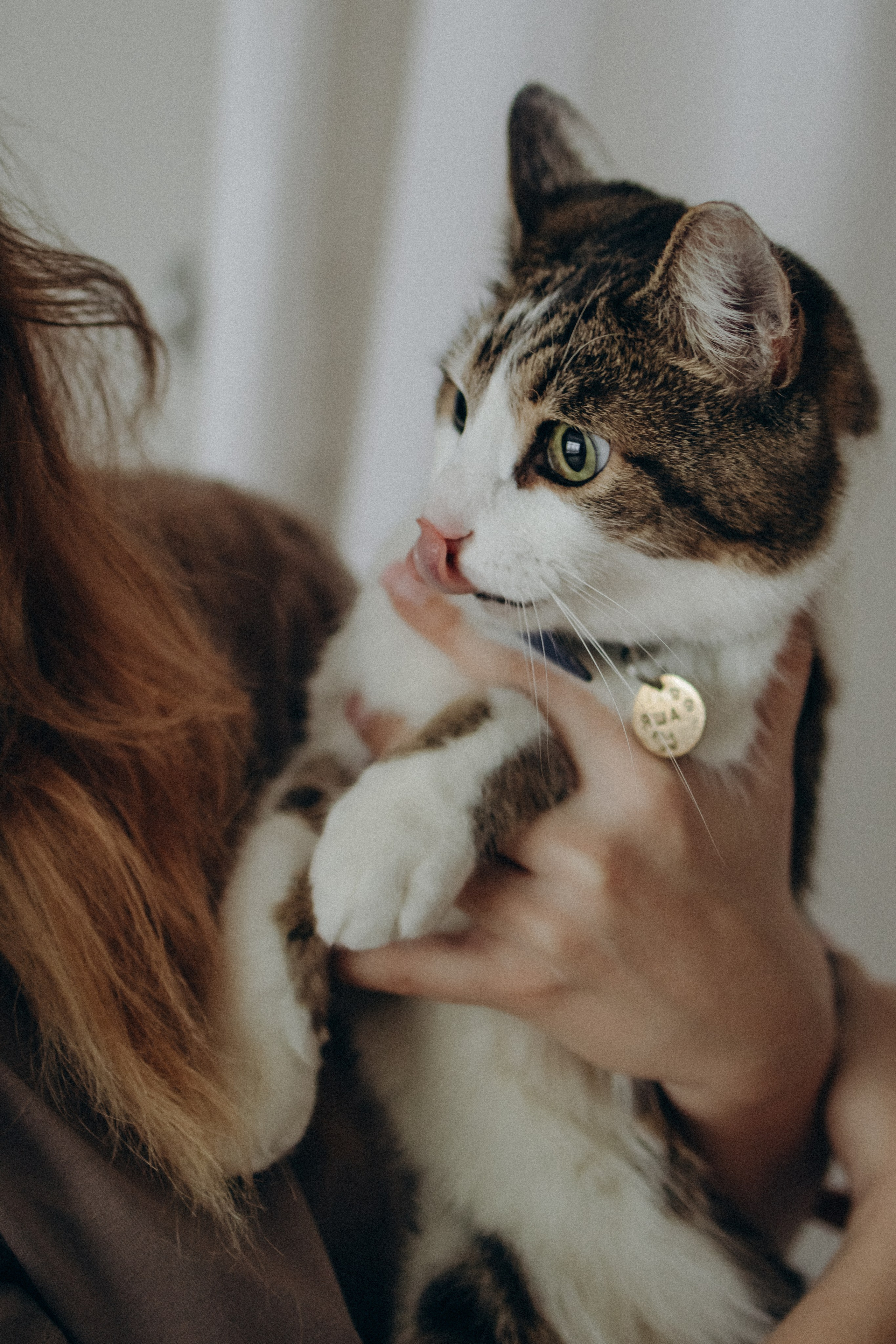 Ксюша и Яша. Фотораф — анималист Мария Шистка