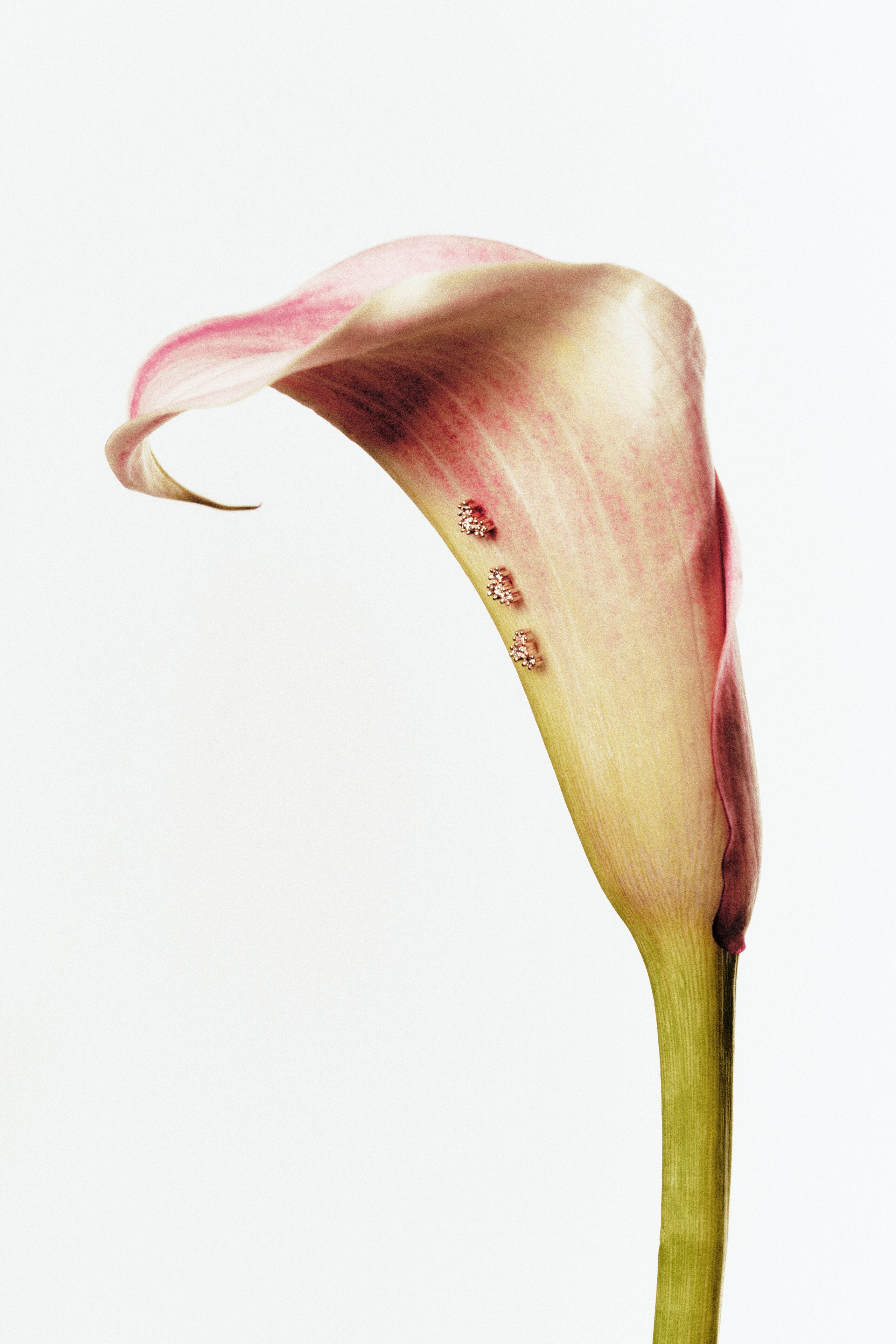 LOVELAVKA. Главная