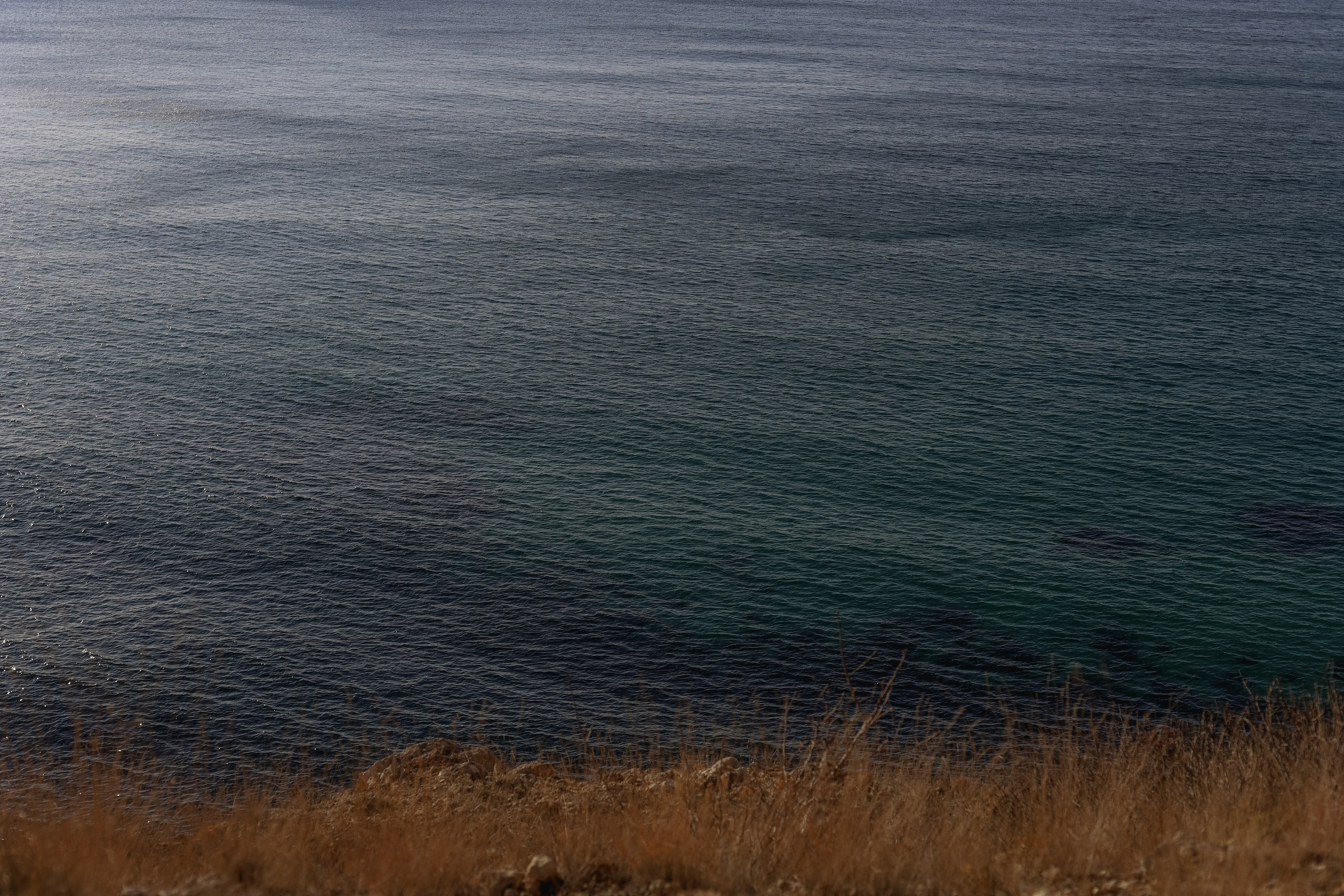 Природа &. Фотохудожник в СПб