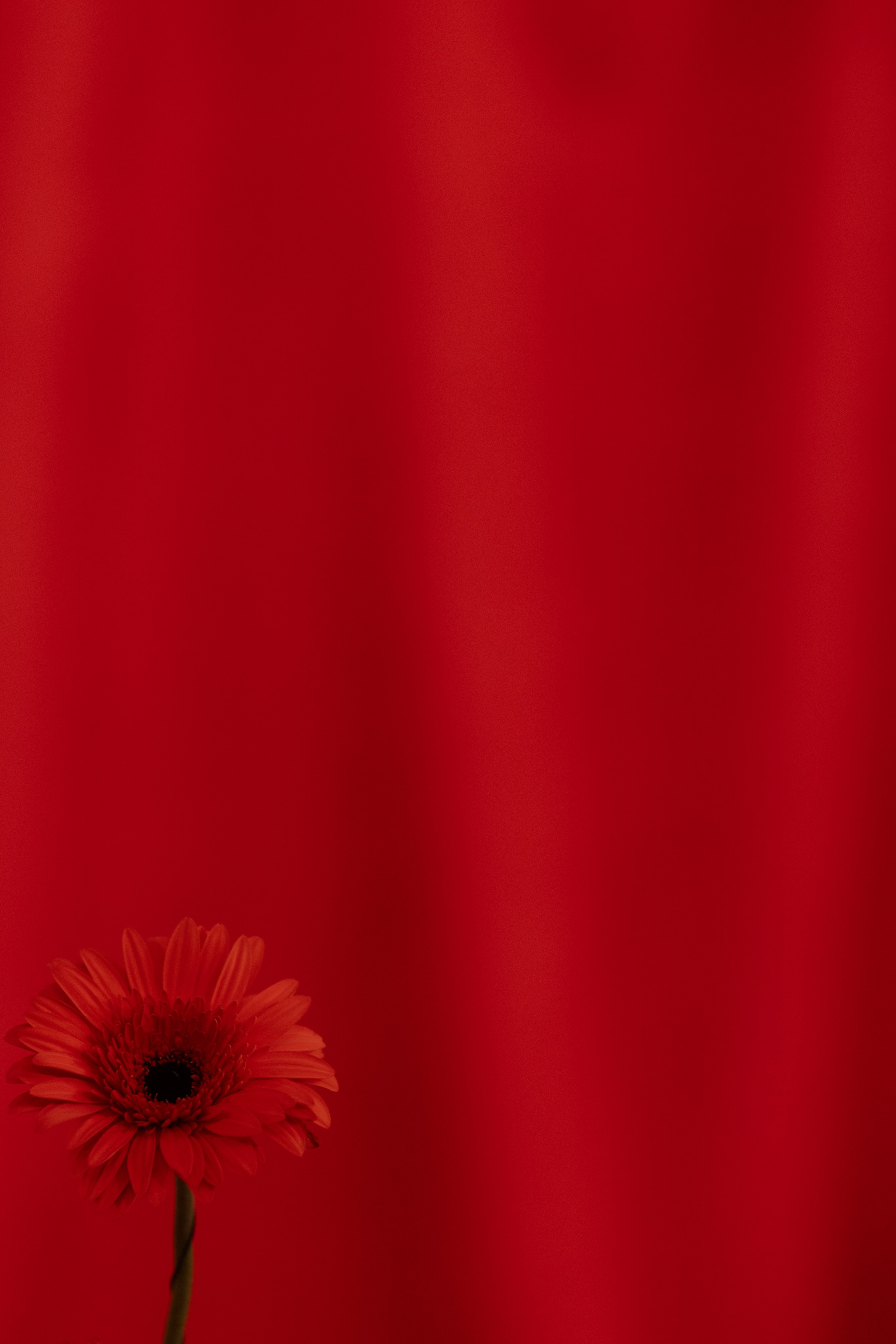 LOVE Ярослав Ульяна. Свадебный фотограф Воронеж Москва СПБ