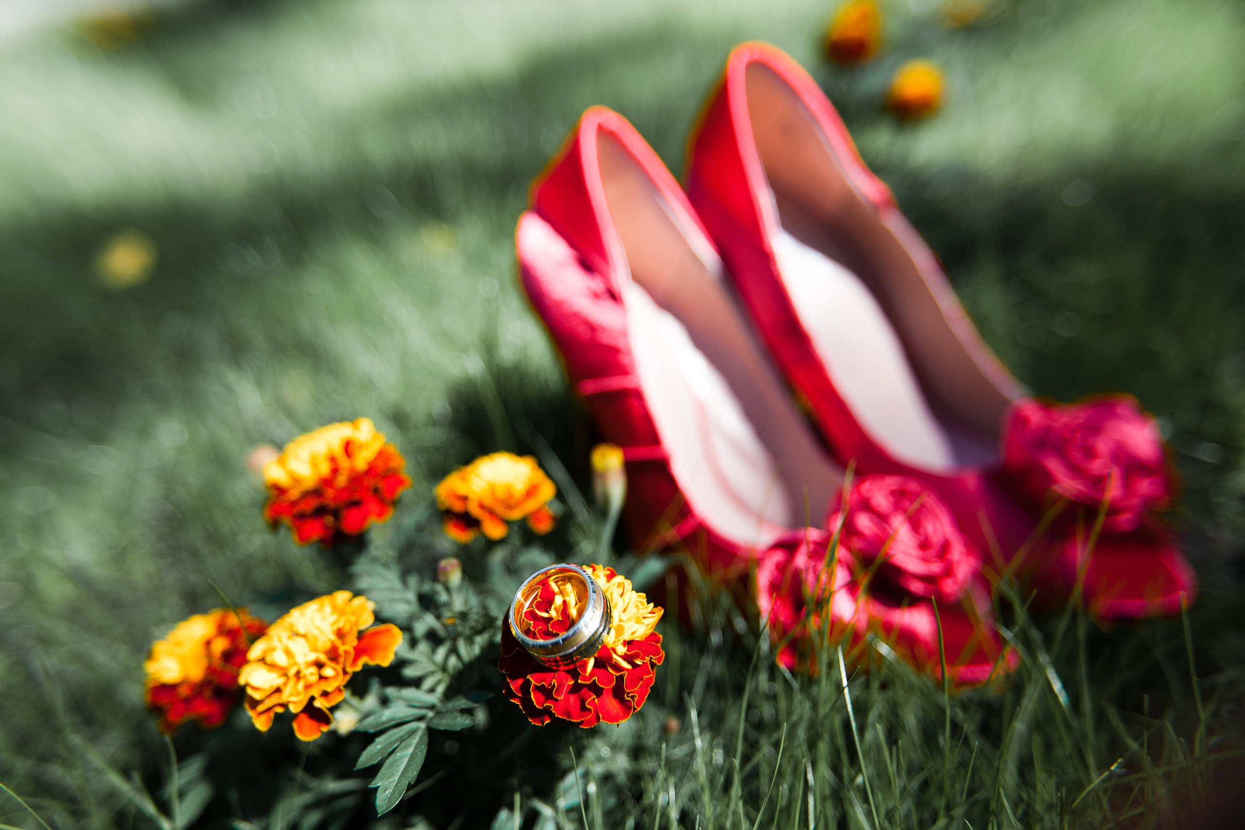 Толя и Оля. Фотограф Никифоров-Гордеев Сергей. Москва и МО