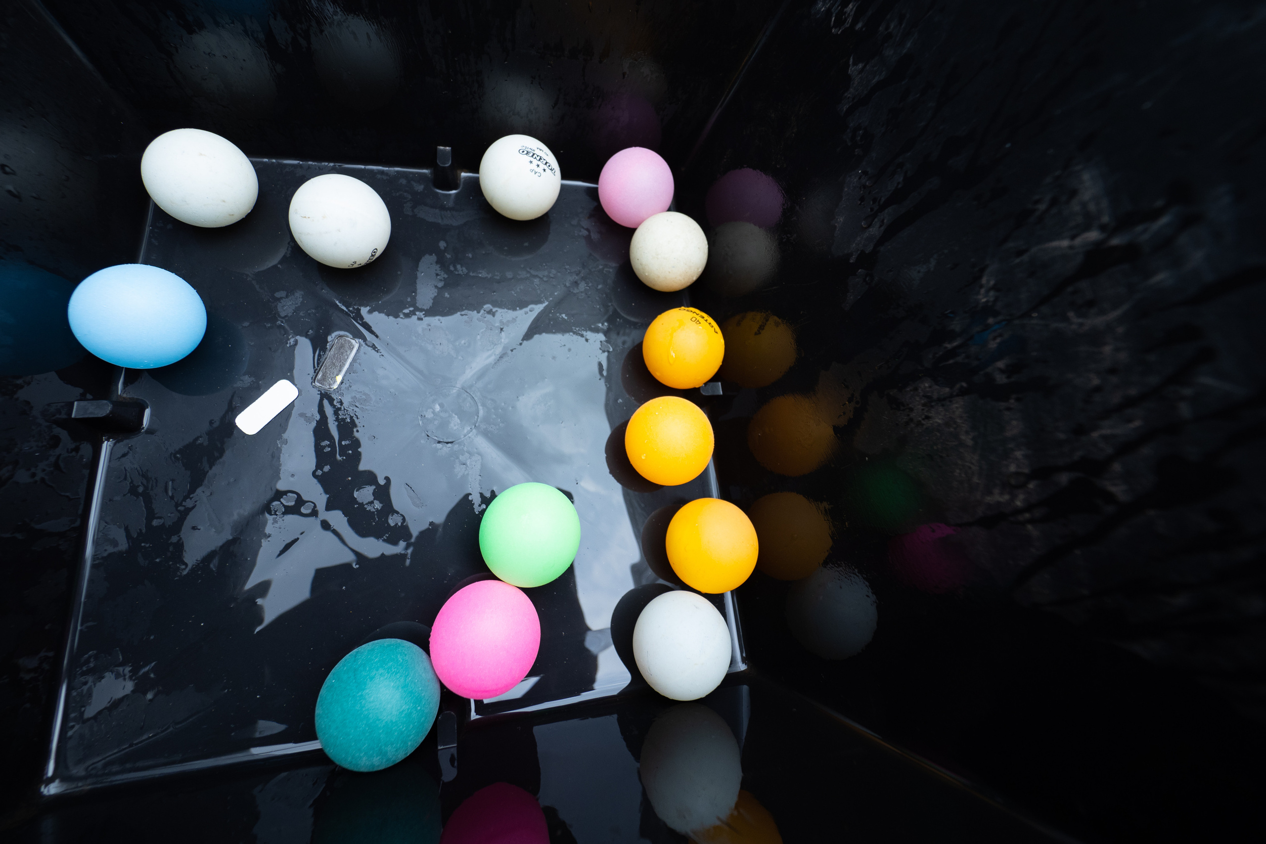 Семейный праздник. Фотограф Никифоров-Гордеев Сергей. Москва и МО