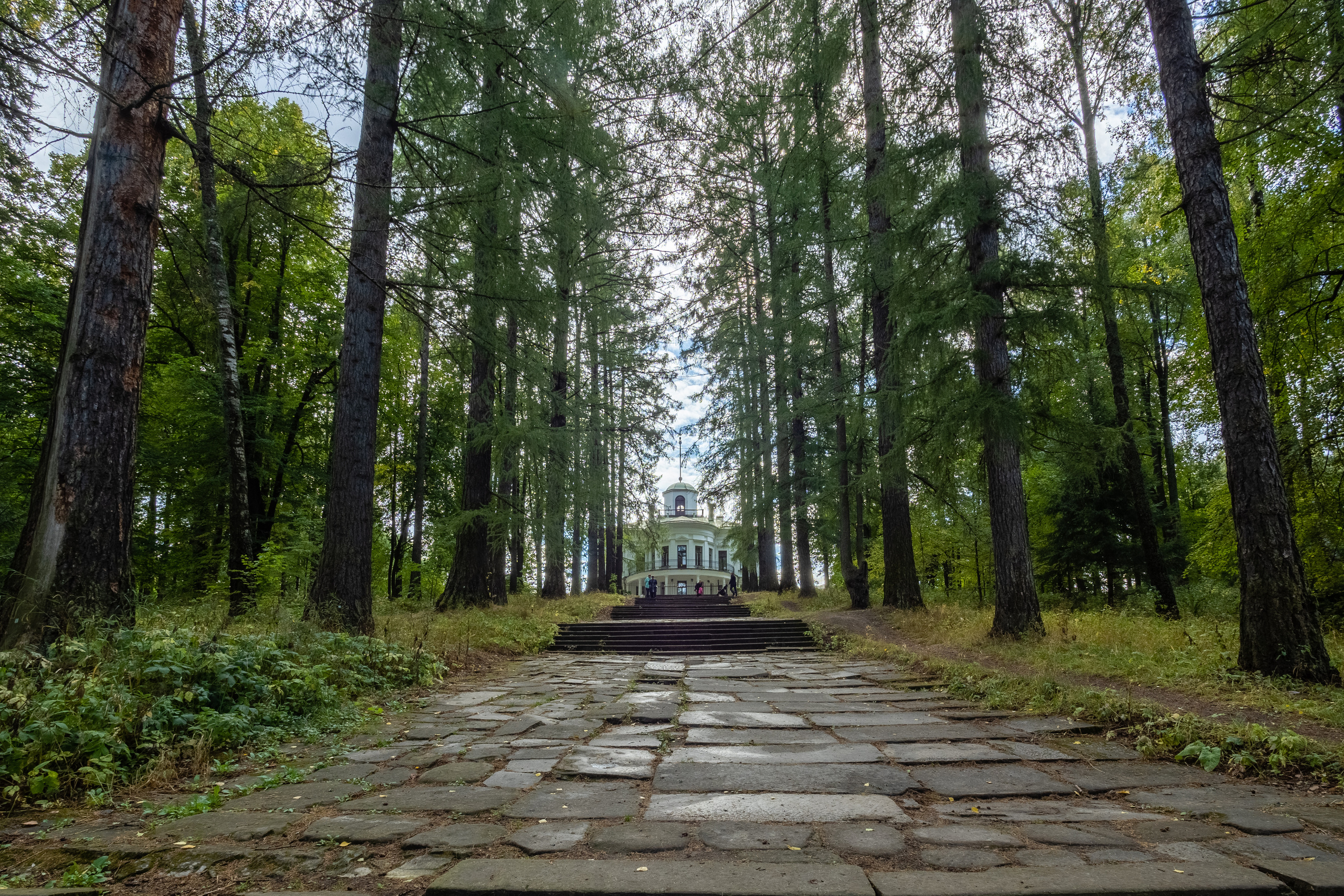 Середняково. Мцыри. Фотограф Никифоров-Гордеев Сергей. Москва и МО