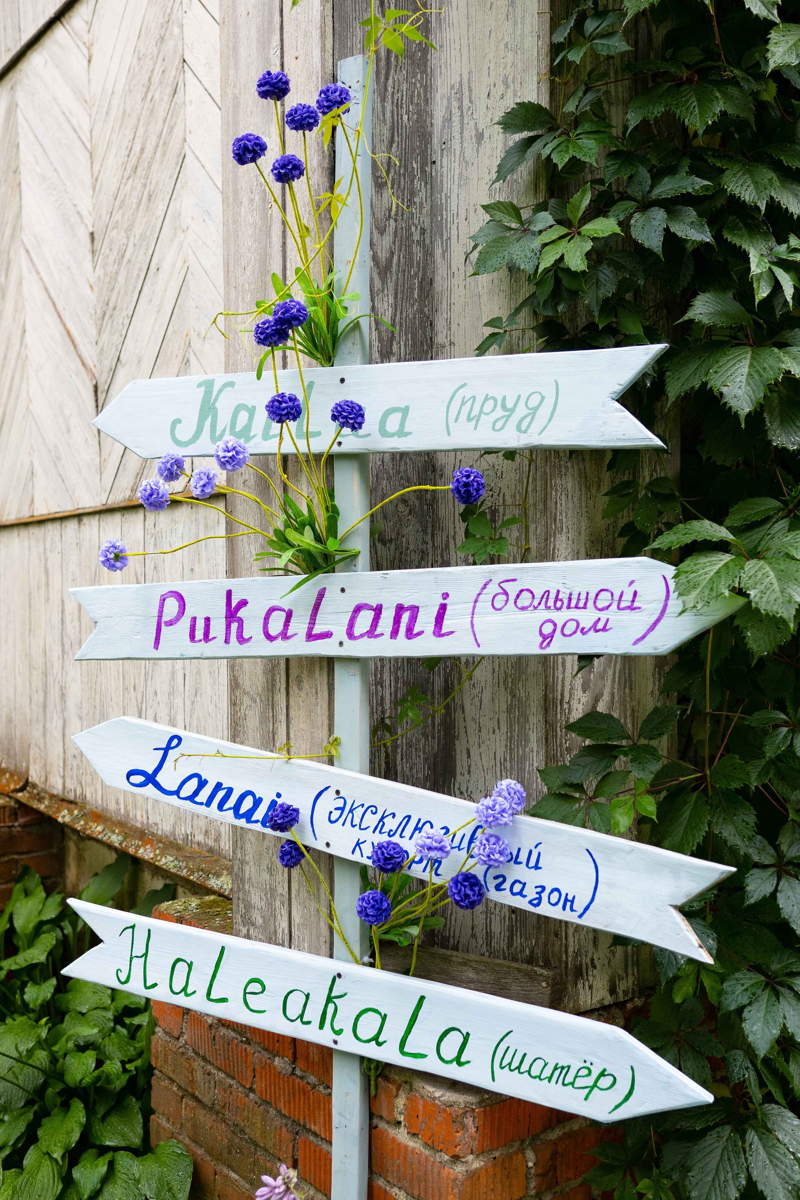 Семейный праздник. Фотограф Никифоров-Гордеев Сергей. Москва и МО