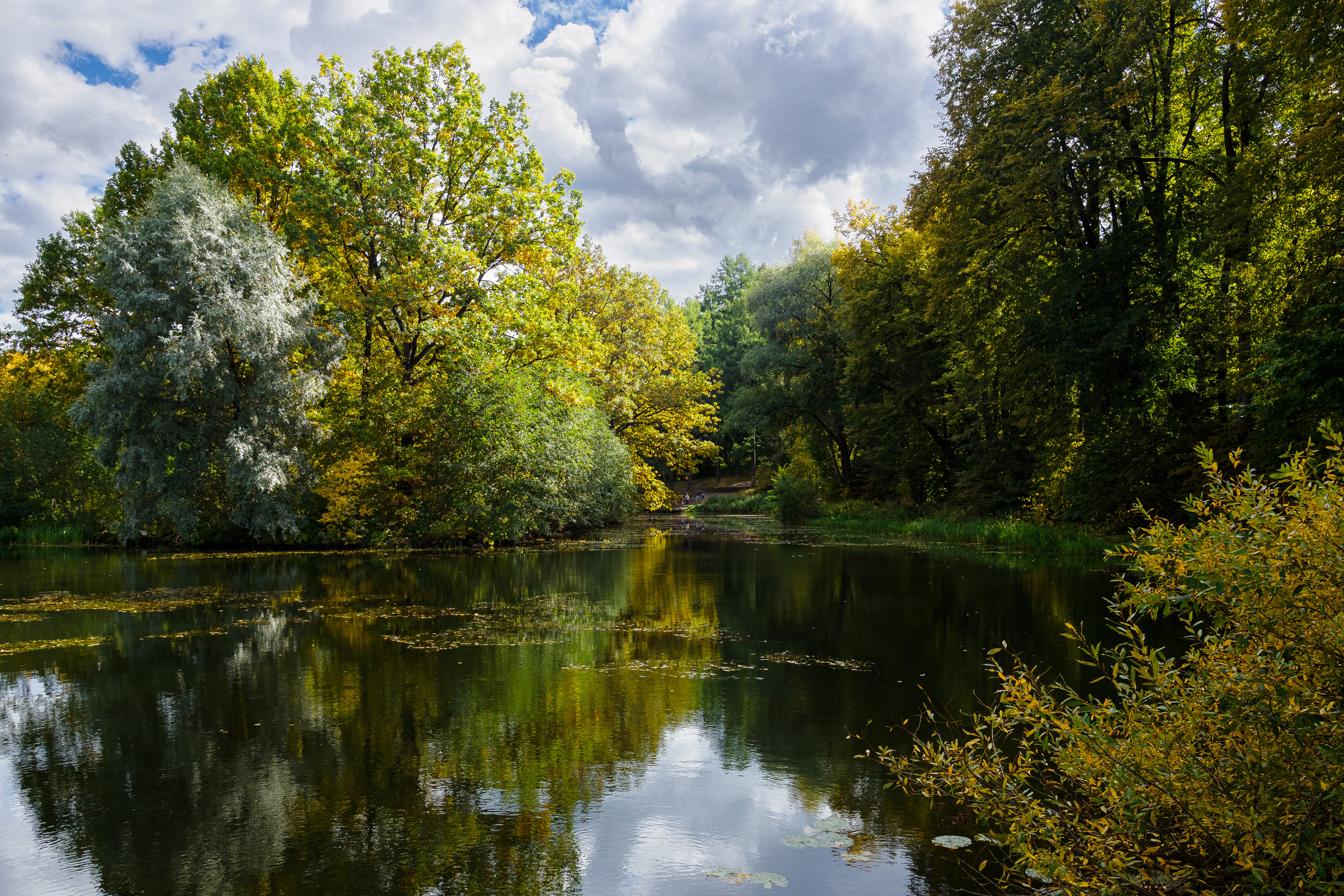 Середняково. Мцыри. Фотограф Никифоров-Гордеев Сергей. Москва и МО