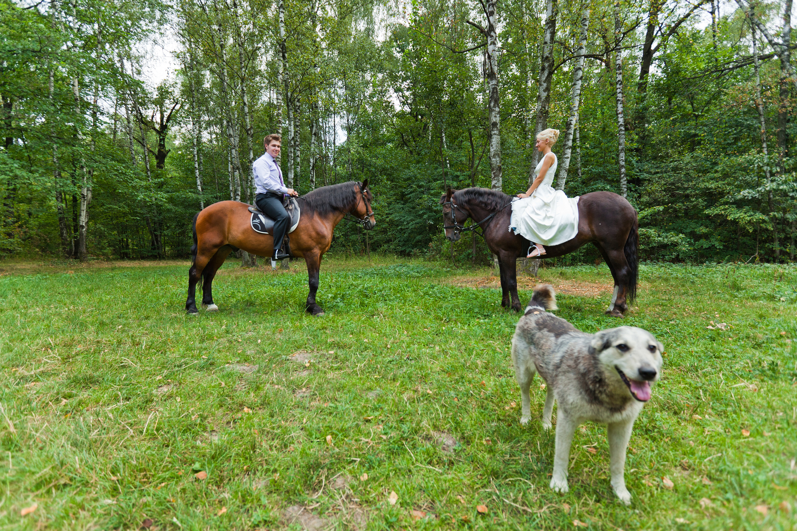 Стас и Лиза. Фотограф Никифоров-Гордеев Сергей. Москва и МО