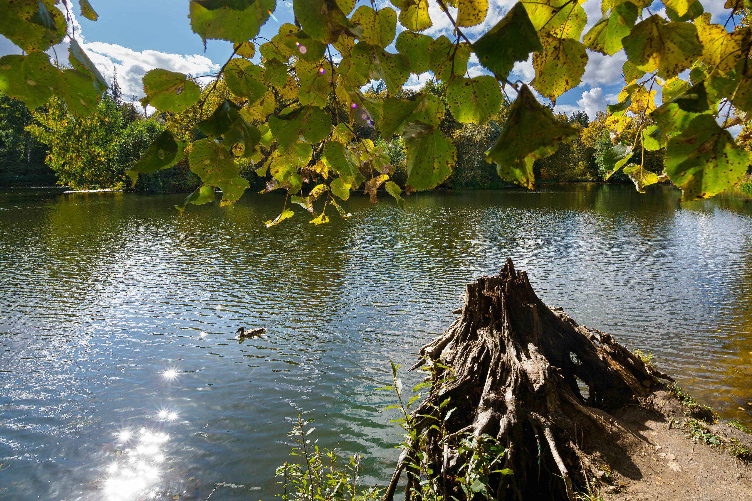 Середняково. Мцыри. Фотограф Никифоров-Гордеев Сергей. Москва и МО