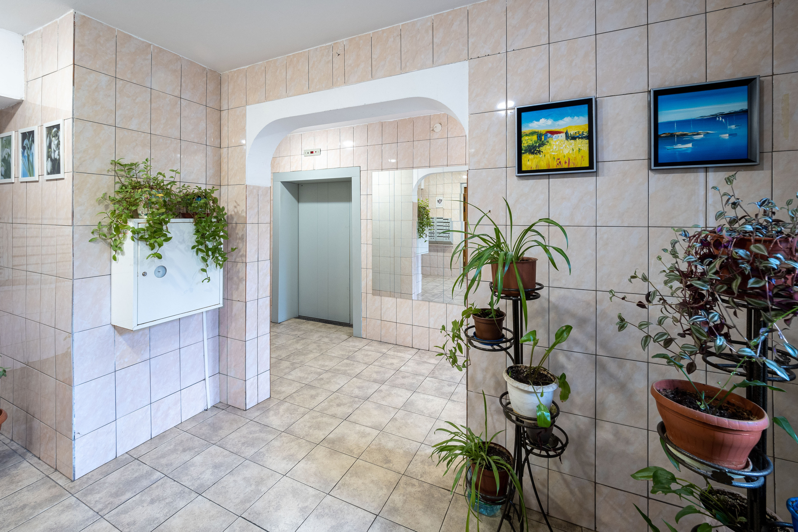 Химки. Фотограф Никифоров-Гордеев Сергей. Москва и МО