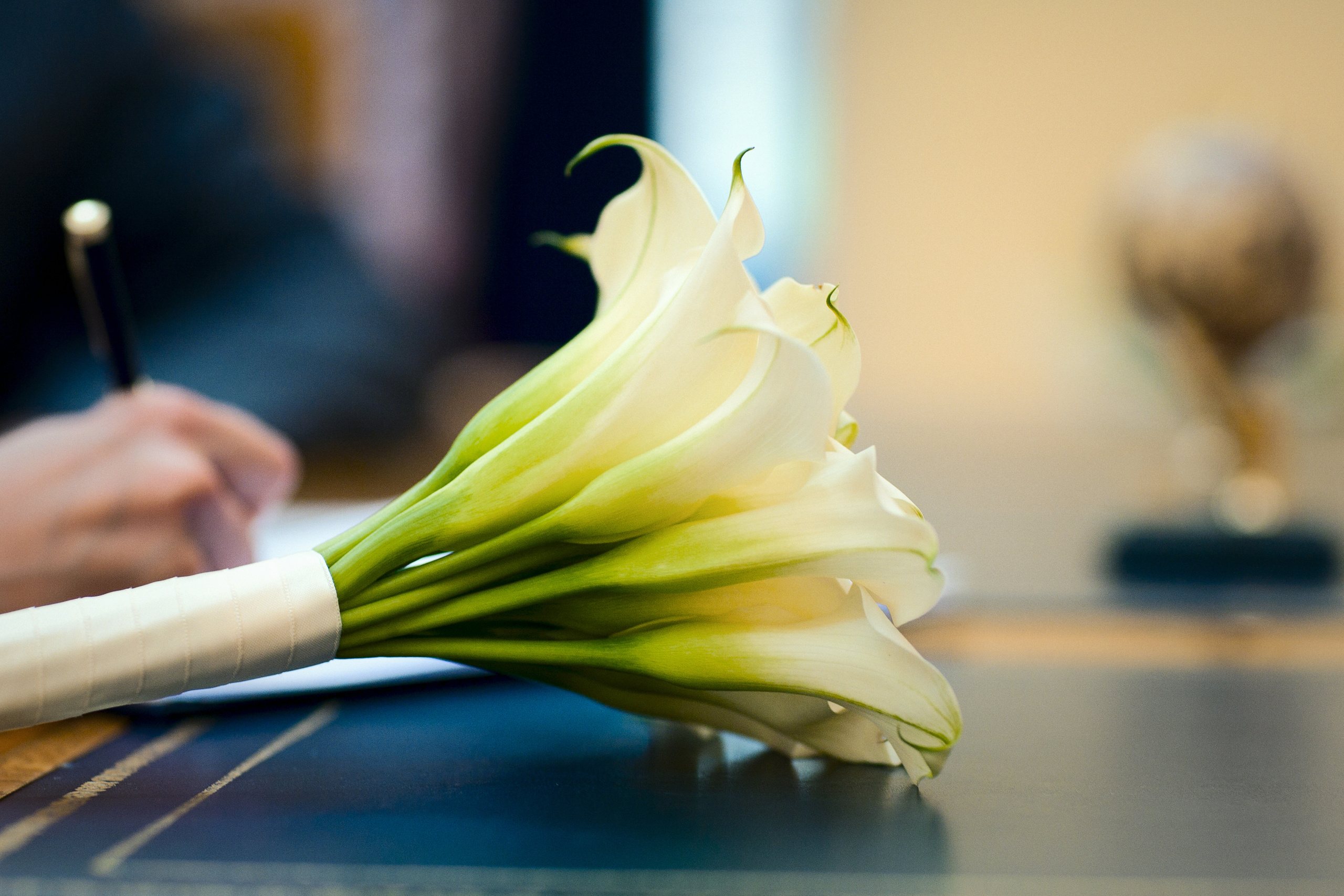 Алексей и Анастасия. Фотограф Никифоров-Гордеев Сергей. Москва и МО