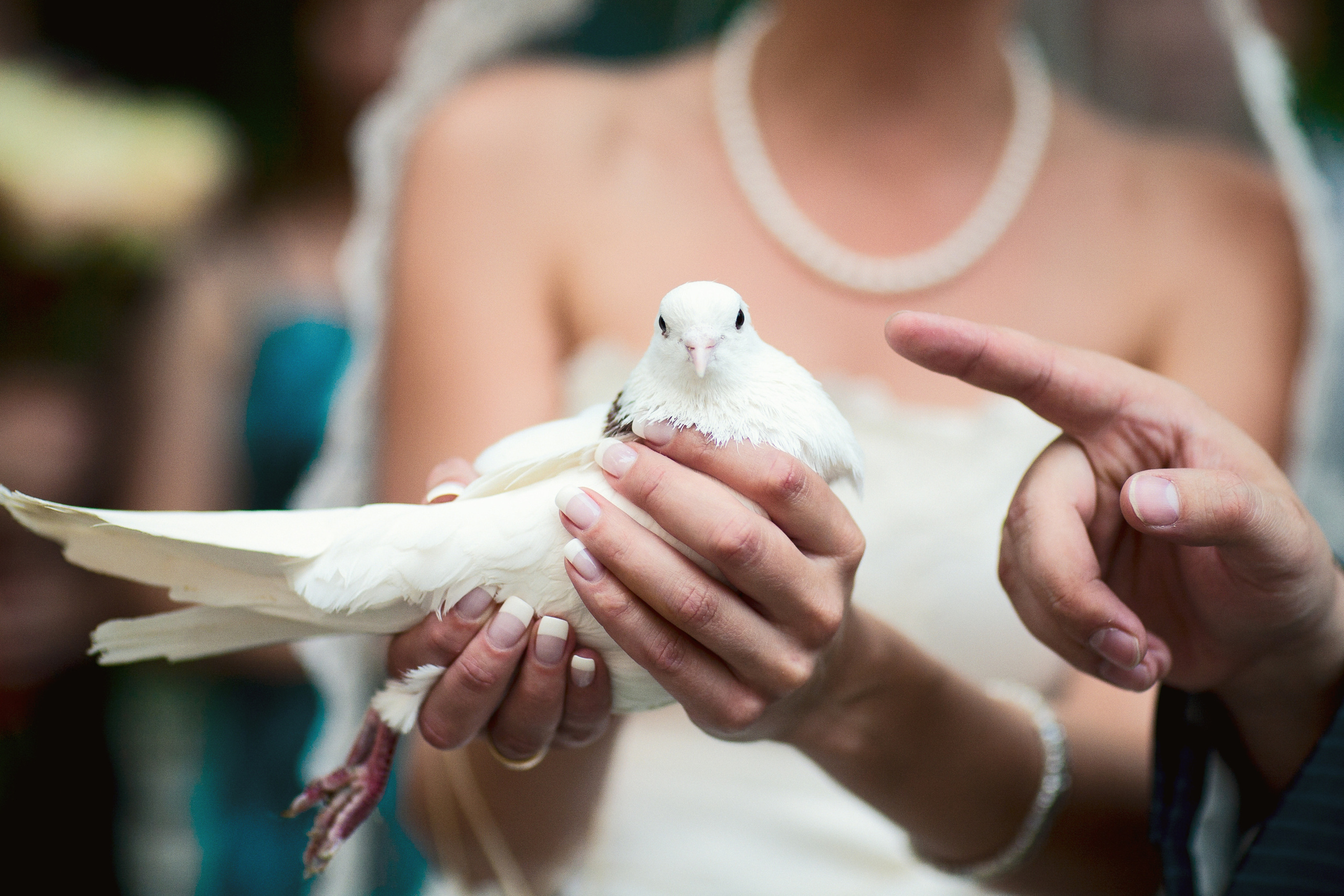 Алексей и Анастасия. Фотограф Никифоров-Гордеев Сергей. Москва и МО