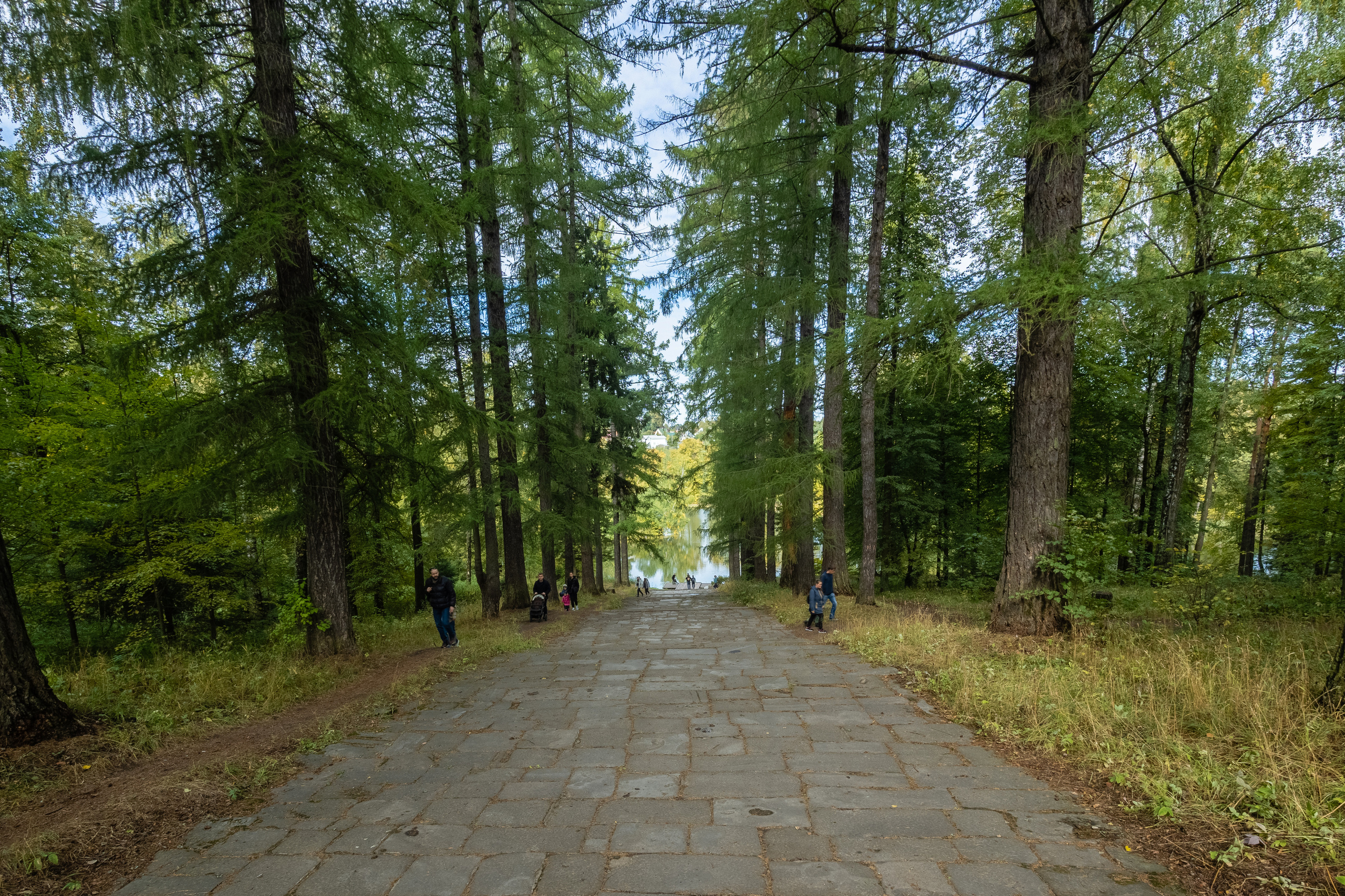 Середняково. Мцыри. Фотограф Никифоров-Гордеев Сергей. Москва и МО