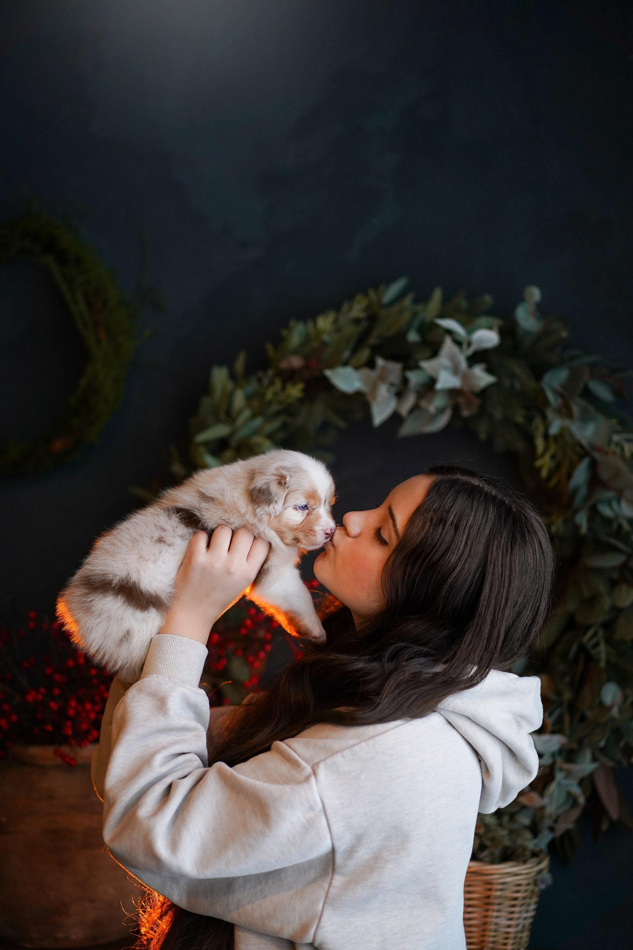 Щенки австралийской овчарки. Фотограф-анималист в Санкт-Петербурге Яна Мартынова