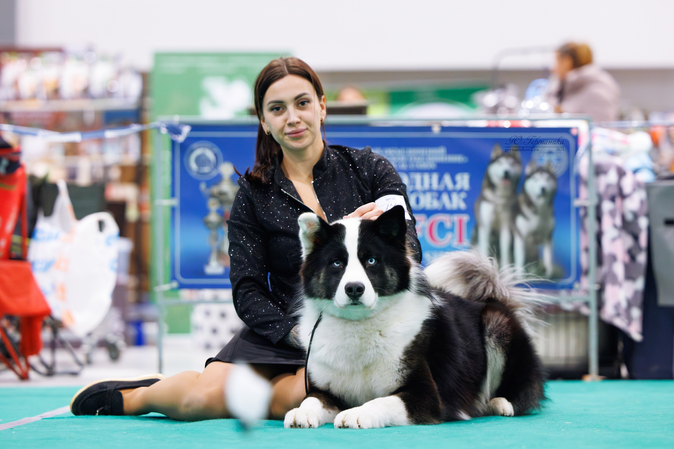 Минск 23.11.2024. Фотограф-анималист Юлия Германика