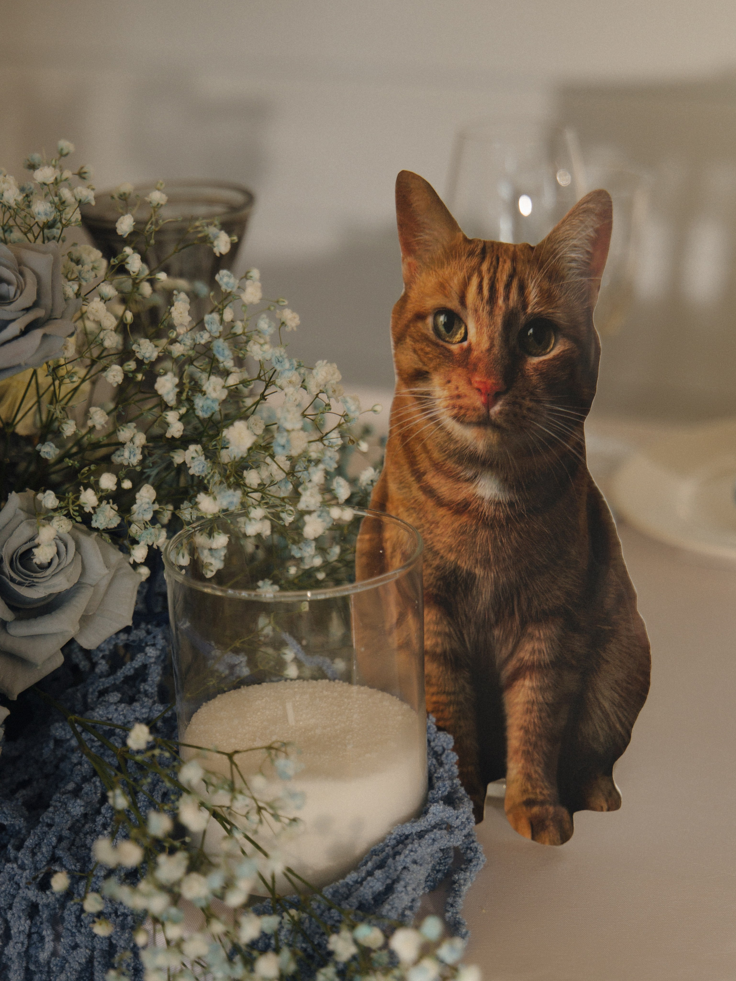 V & M | 28.07.2025. Фотограф Санкт-Петербург Евгения Корякина (eva_maruu)