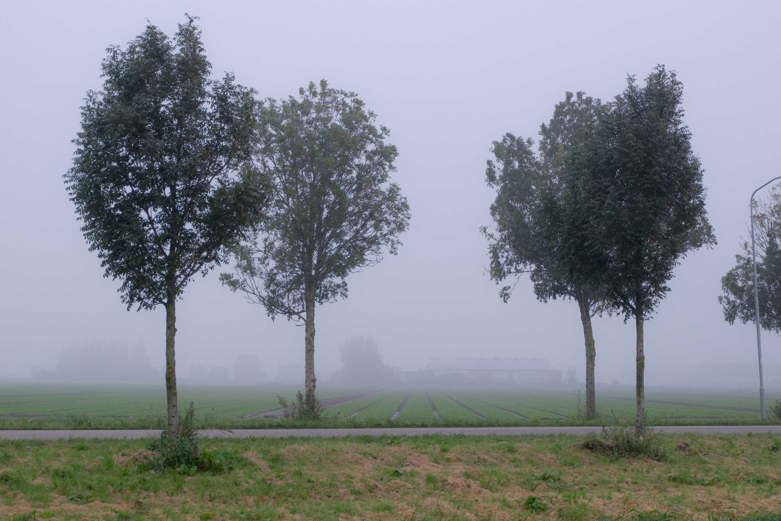 Travel. Фотограф Антон Денисенко: Портрет, Документалистика, Пейзаж. Москва