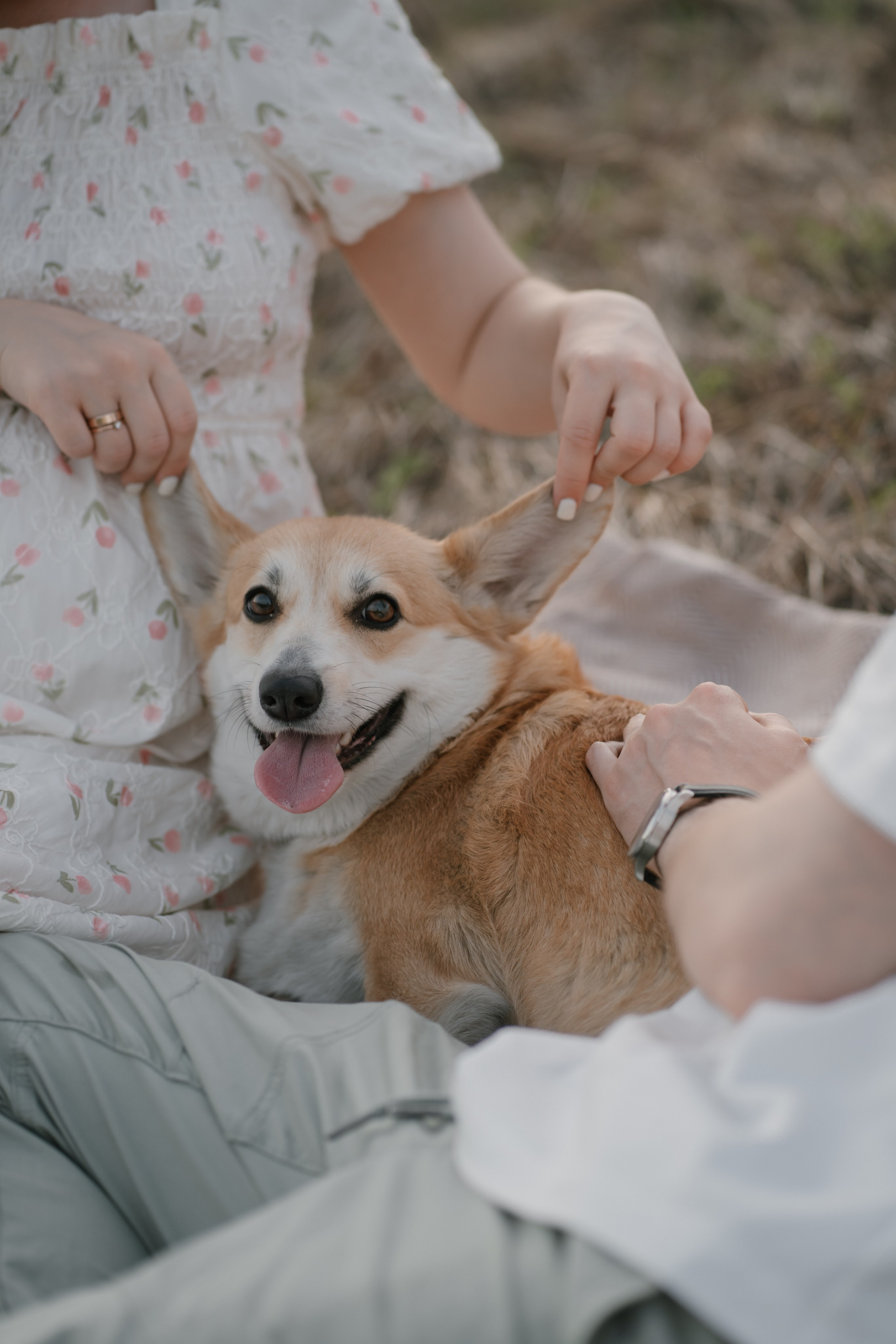 На закате. Евгения Арефьева — свадебный и портретный фотограф в Чите