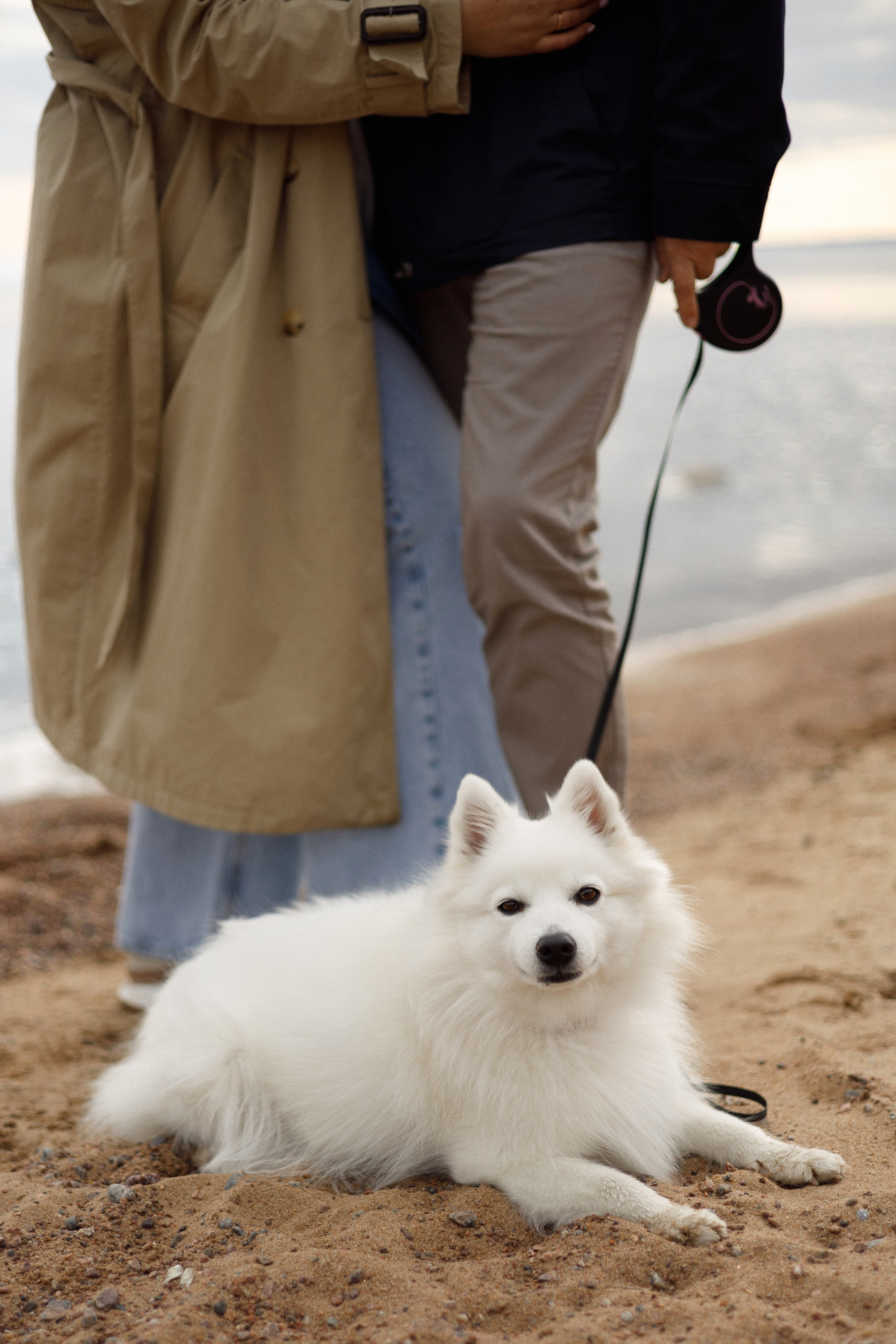 Аня, Дима и Калипсо. Женский и свадебный фотограф в Санкт-Петербурге Матвеева Наталья