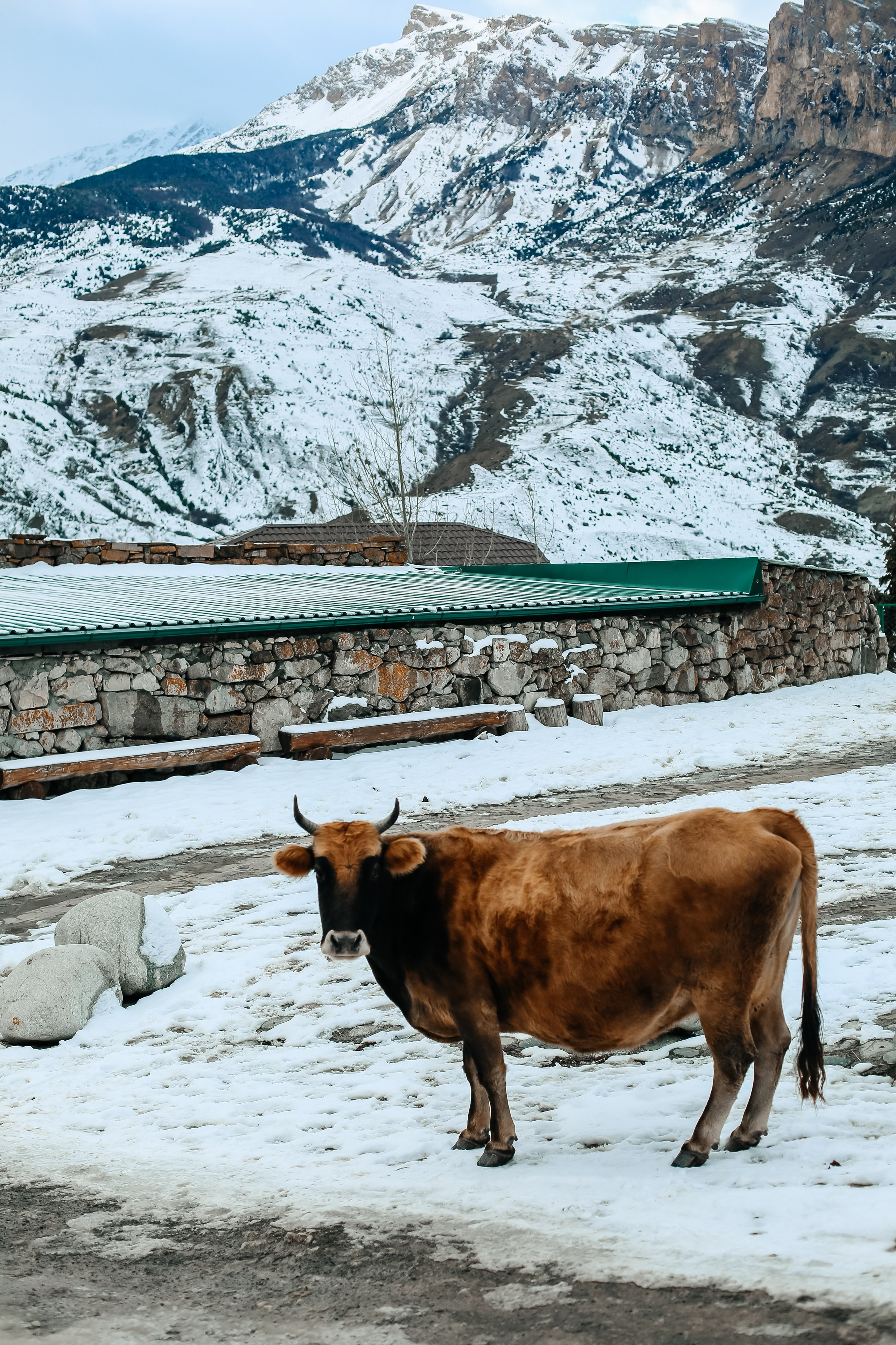 Северная Осетия