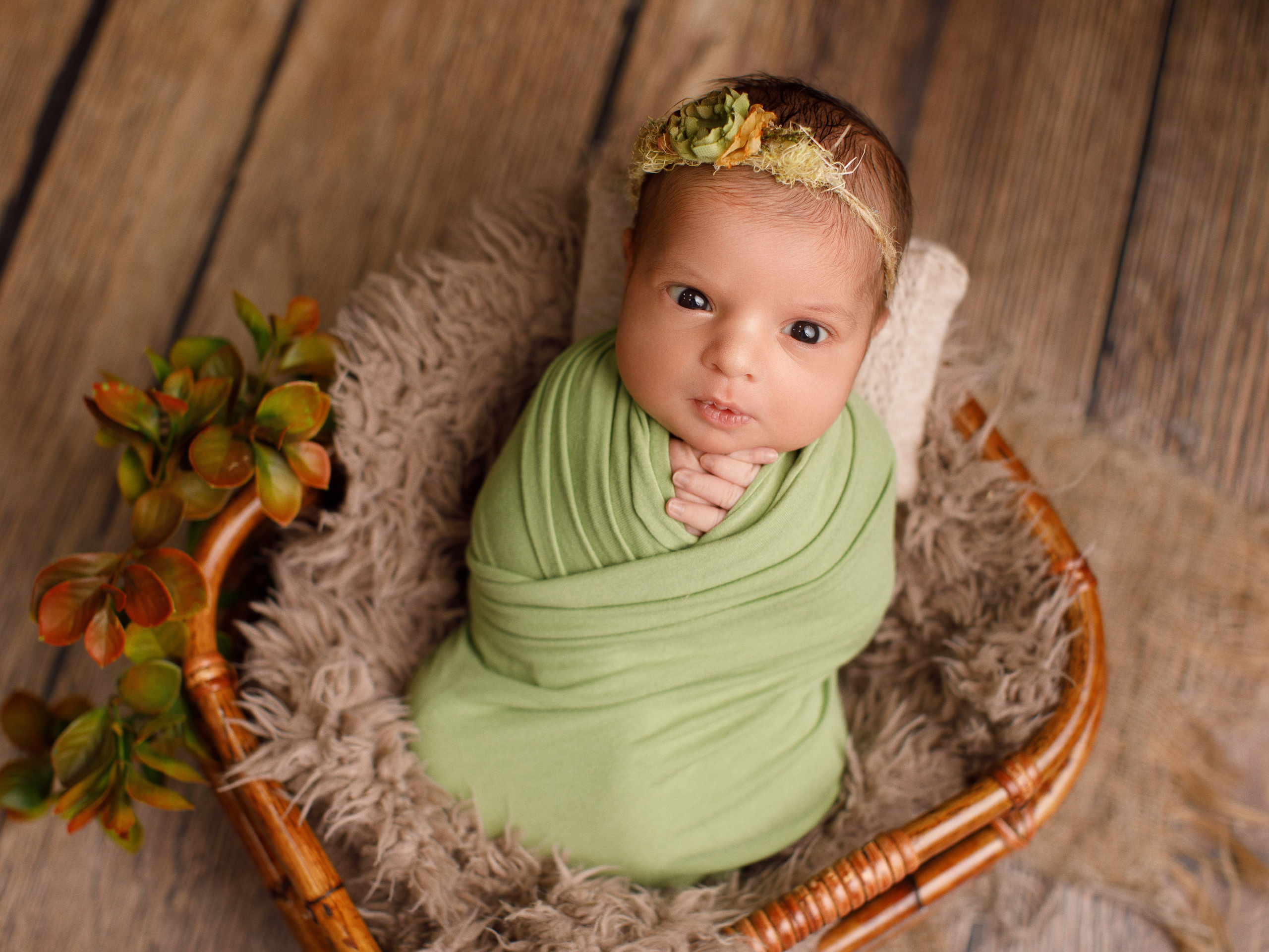 Портфолио фотосессия для новорожденных. Фотограф новорождённых и детей до года на КМВ