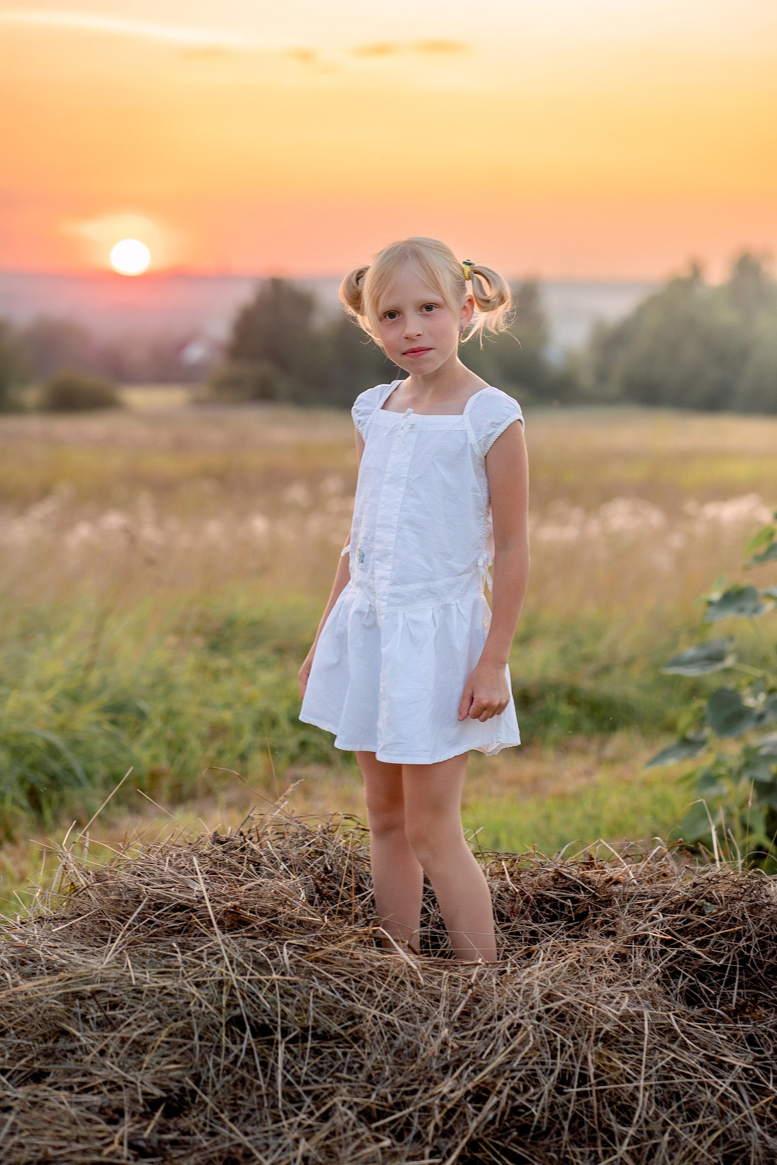 Подсолнухи. Семейный и детский фотограф в Санкт-Петербурге