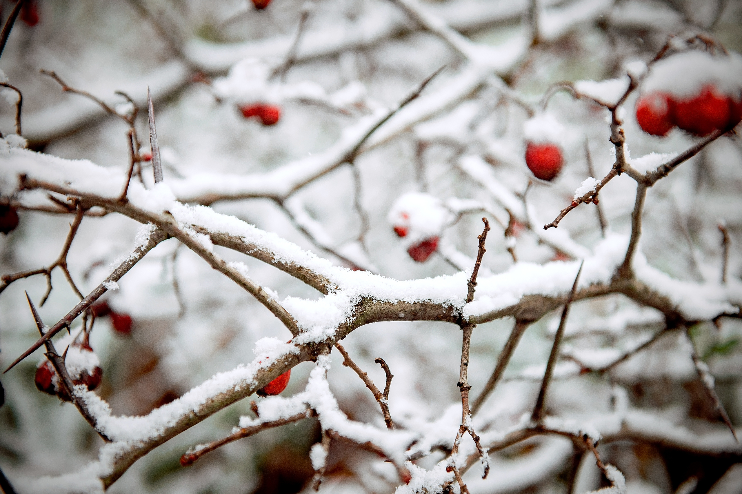 Фотосессия Love story в стиле милитари. Свадебный и семейный фотограф Виктория Носачёва. Щелково, Москва и МО