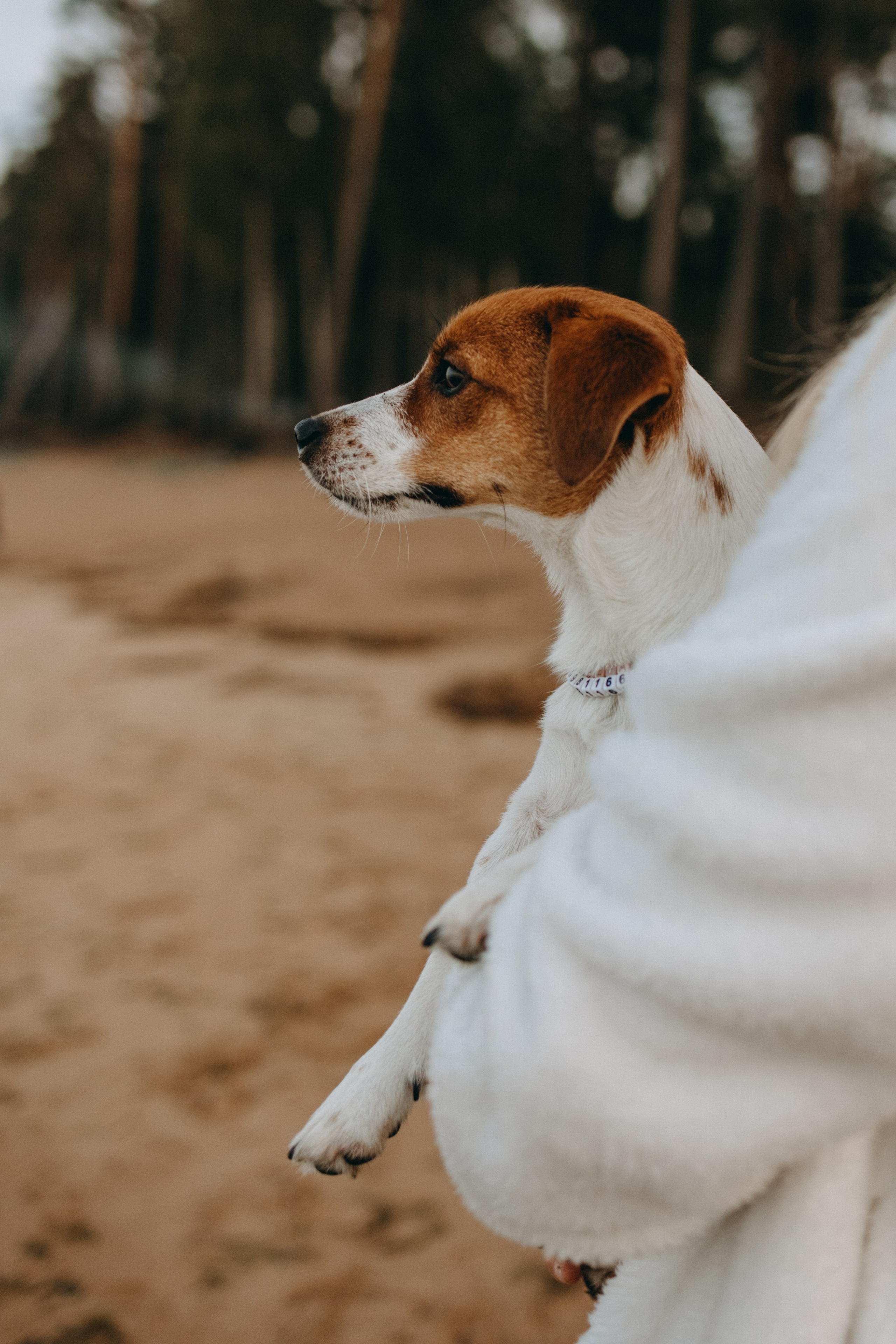 Лея и ее семья. Фотограф — Анималист | Санкт-Петербург