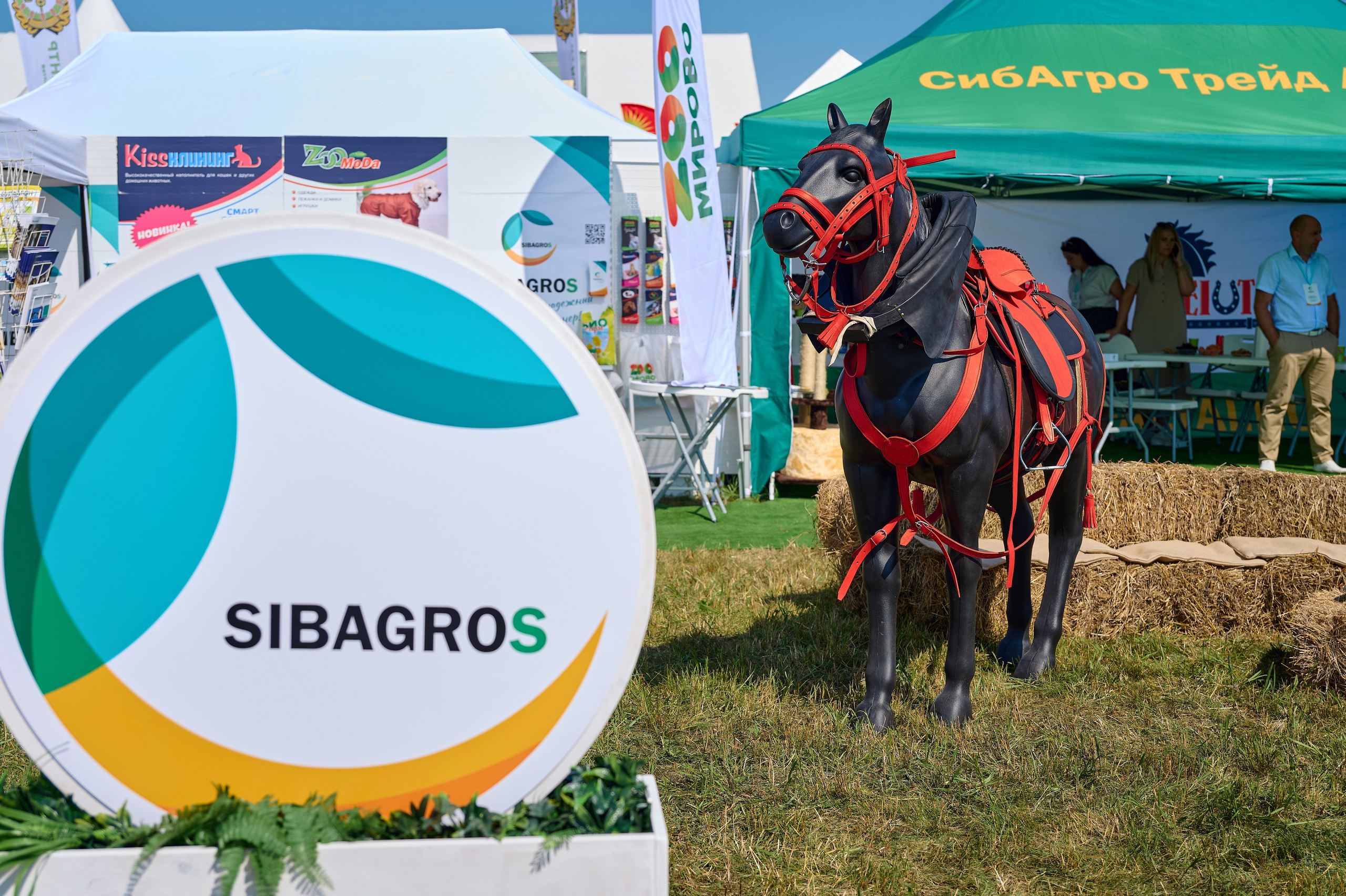 День поля. Фотограф Опыт Качество Скорость Горный Алтай Барнаул