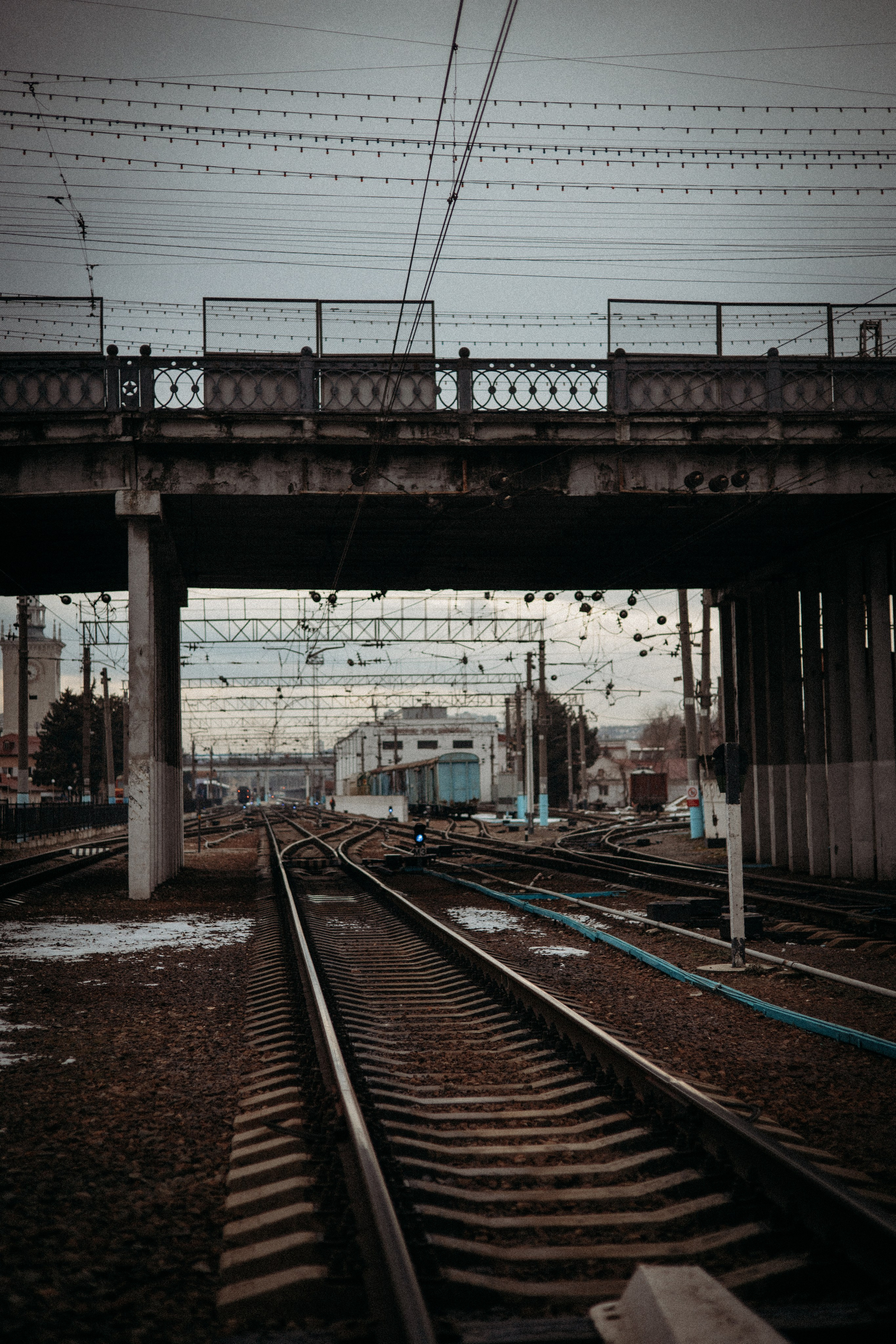 Оля. Условия и стоимость