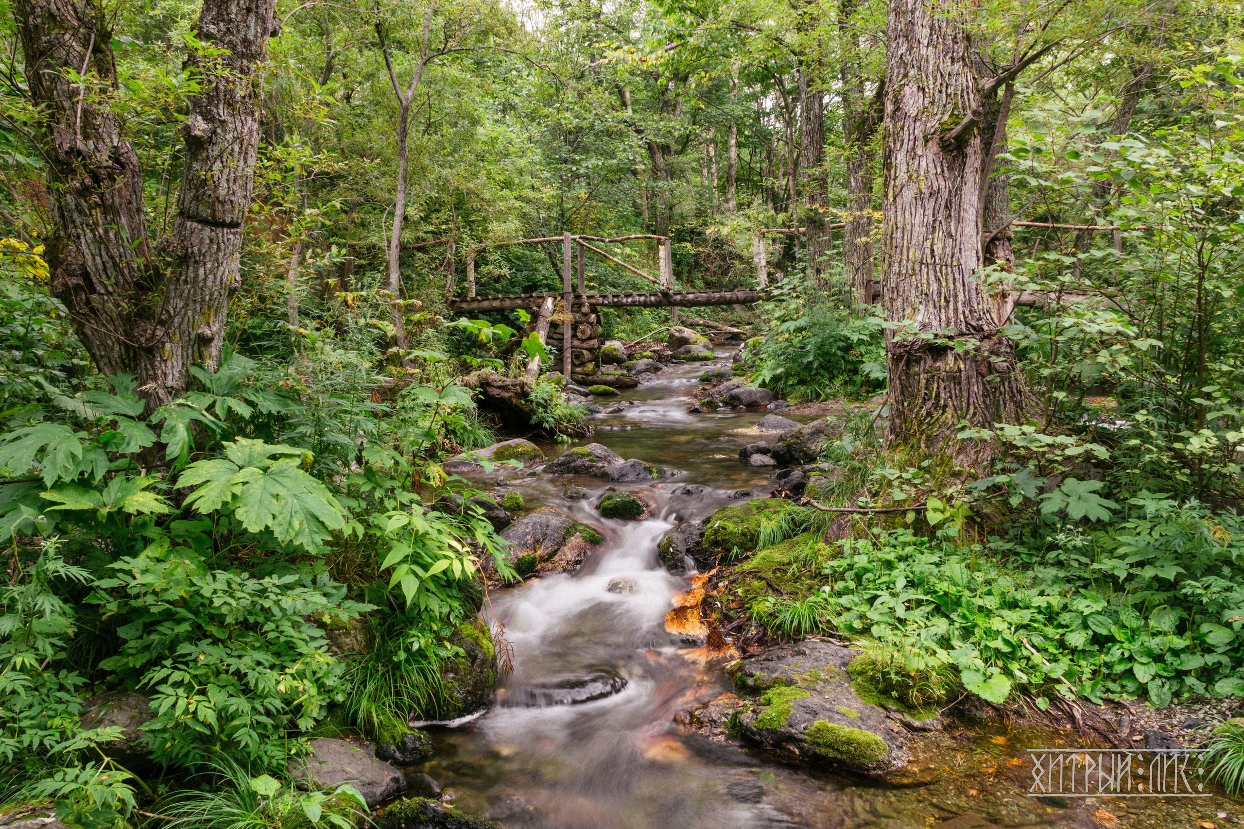 Сахалин. Фотограф-путешественник Самойлов Максим «Sly Fox»