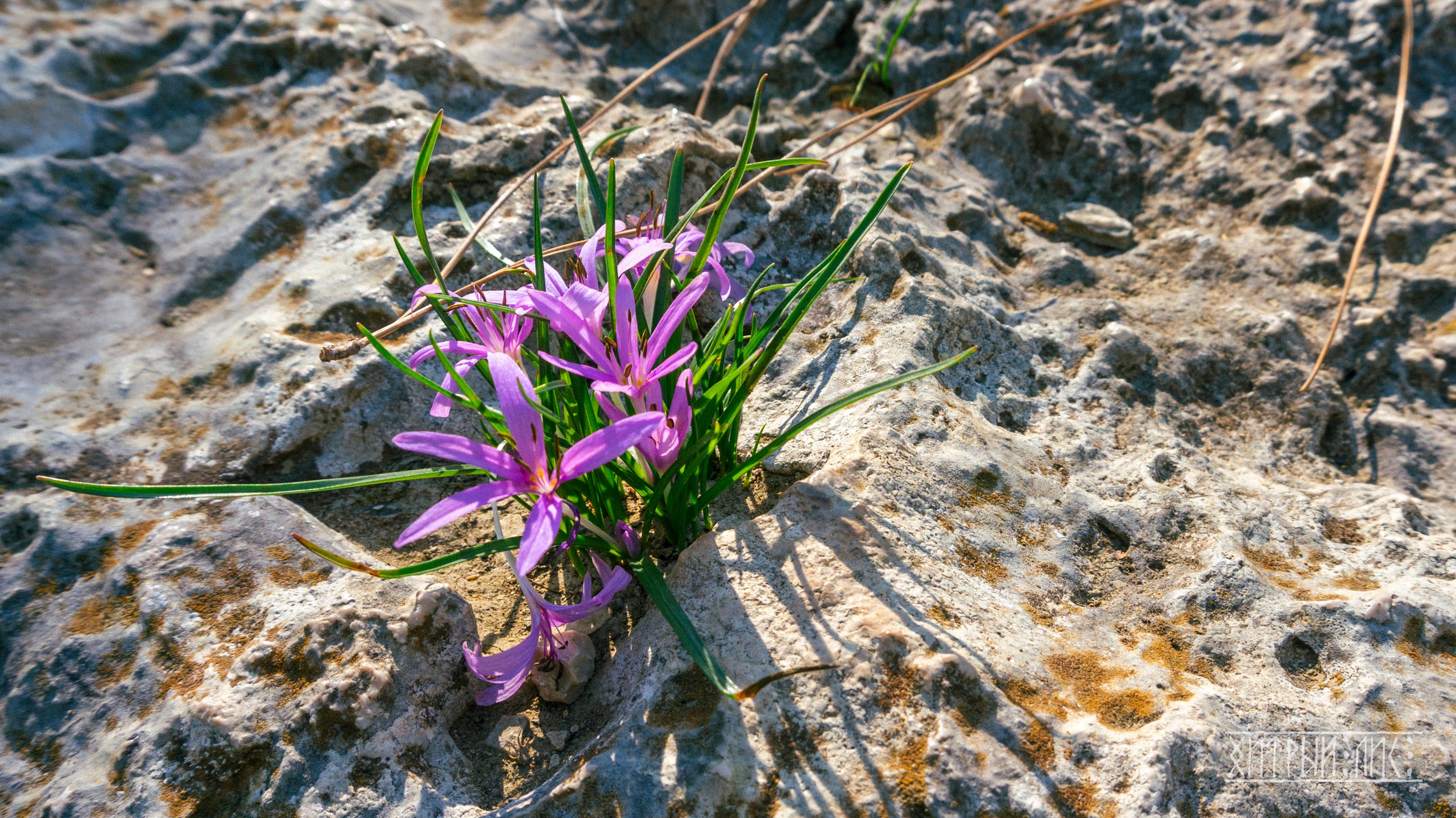 Турция. Ликийский путь. Фотограф-путешественник Самойлов Максим «Sly Fox»