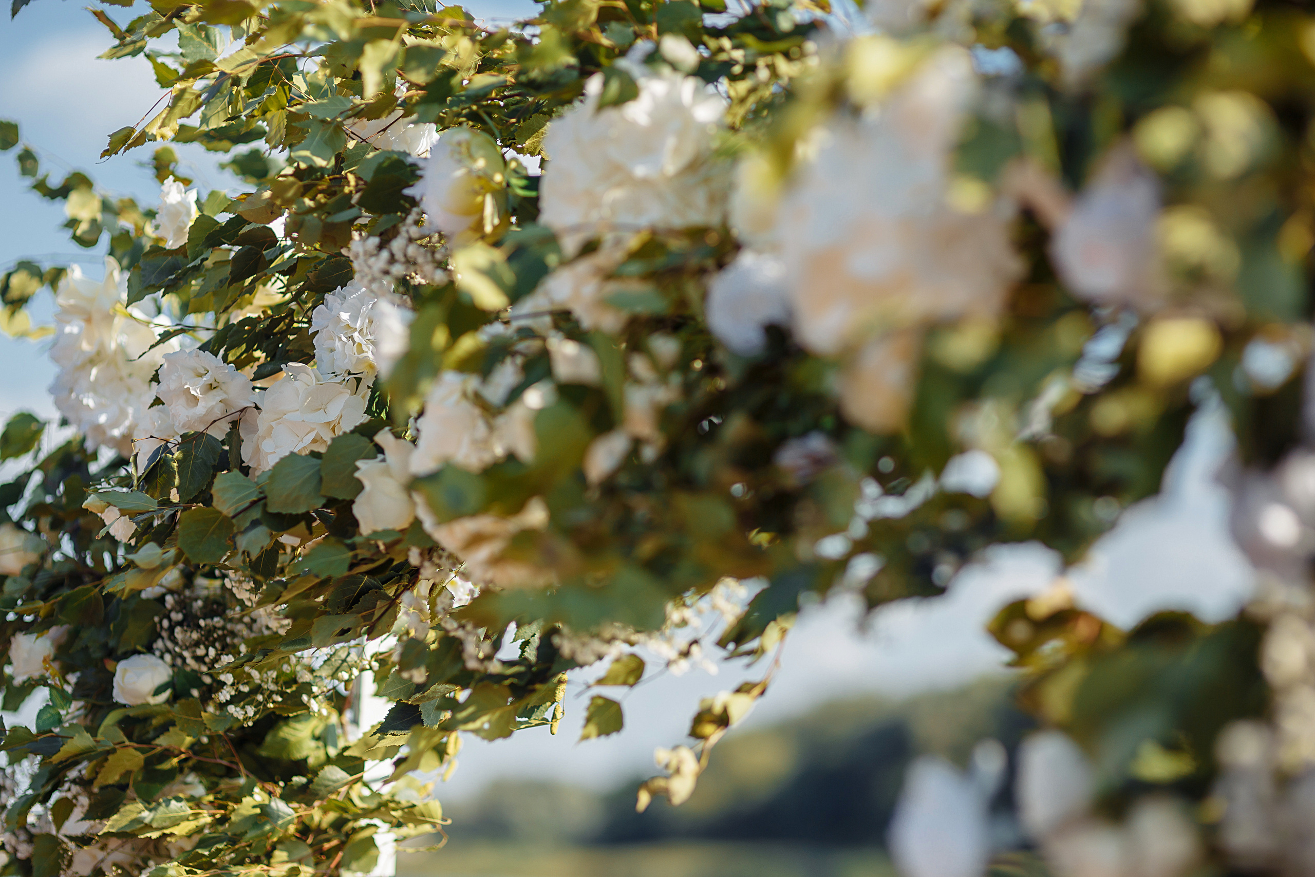 Марго и Антон. Свадебный фотограф Калининград Пасюта Данила