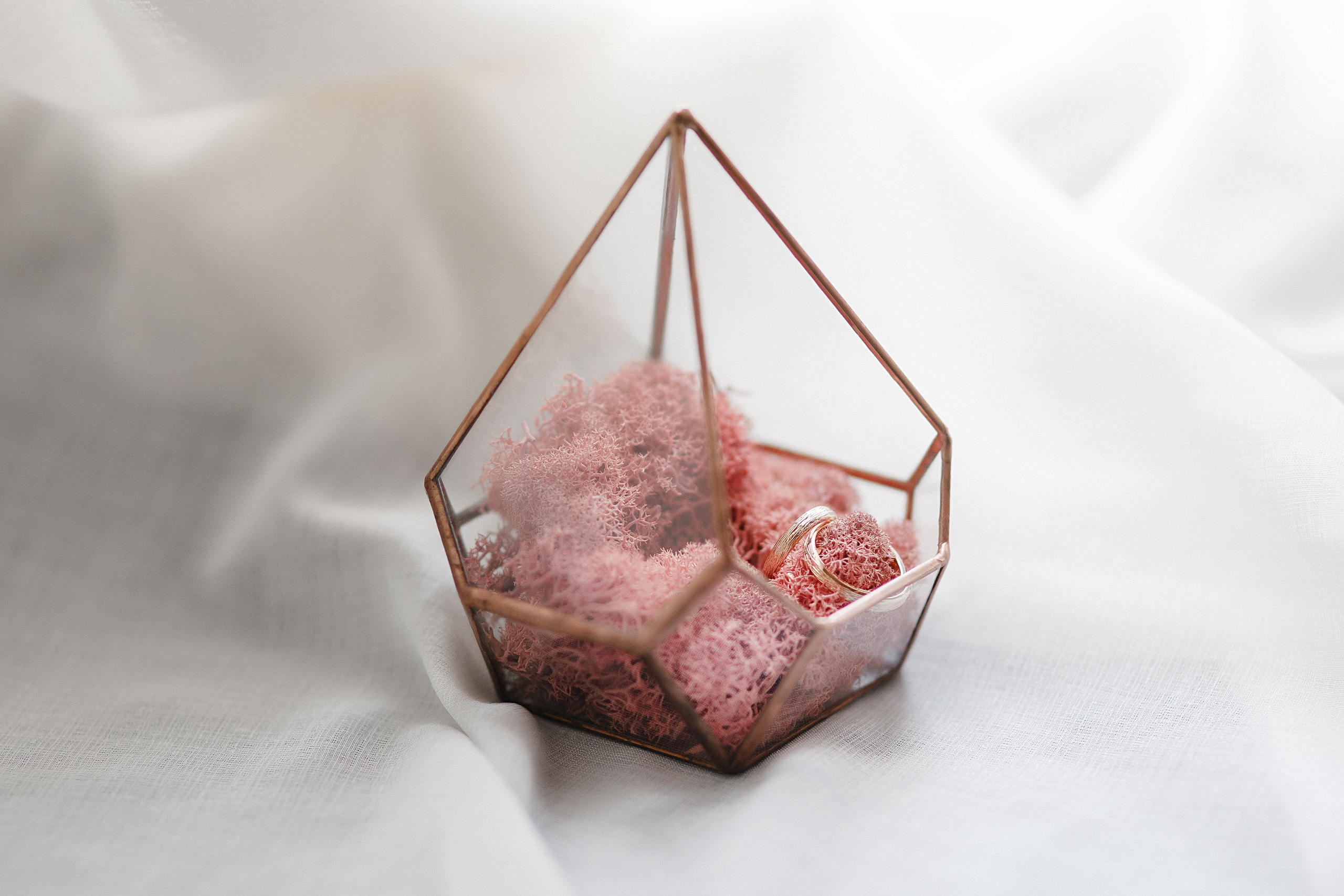 Женя и Дима. Свадебный фотограф Калининград Пасюта Данила