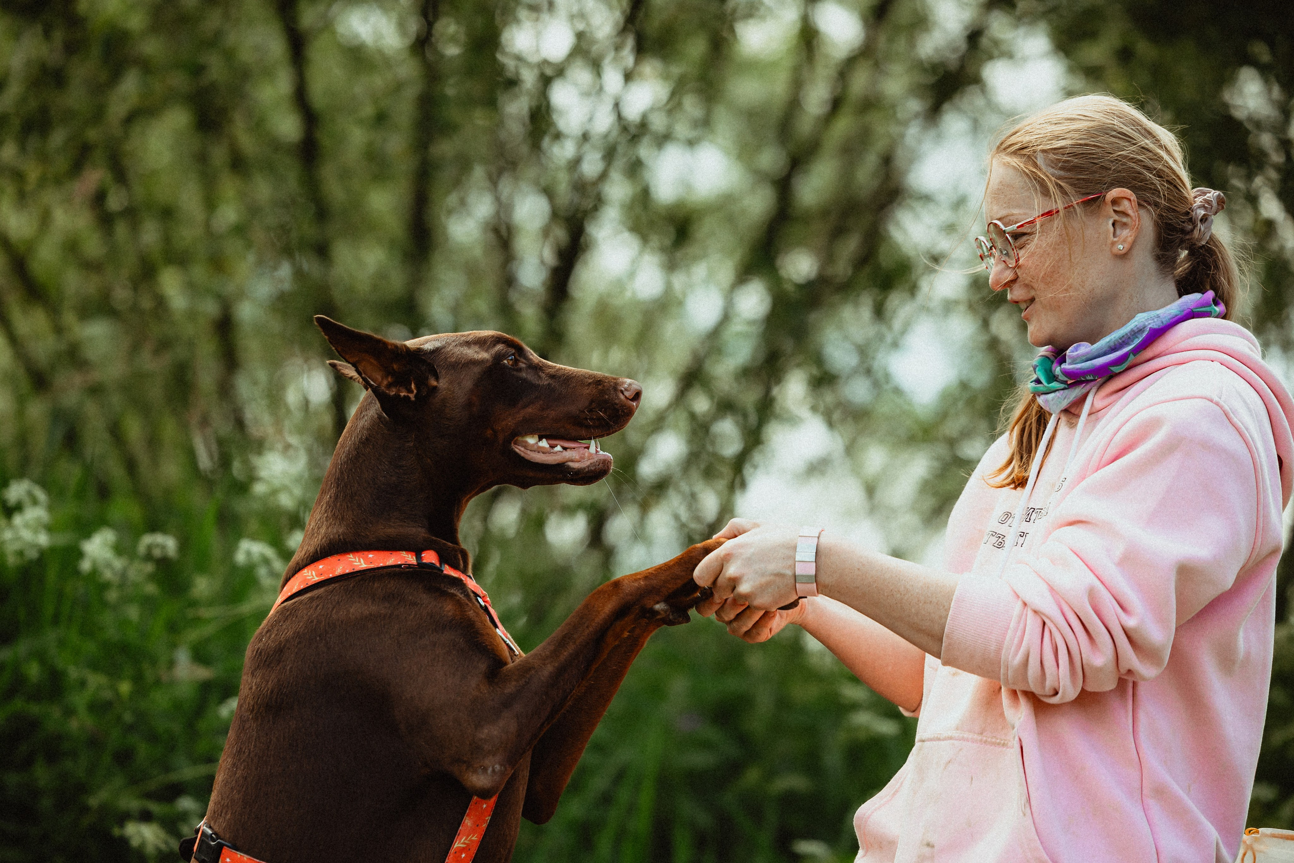 Выездной дог-тренинг от школы «Шерсть имею»