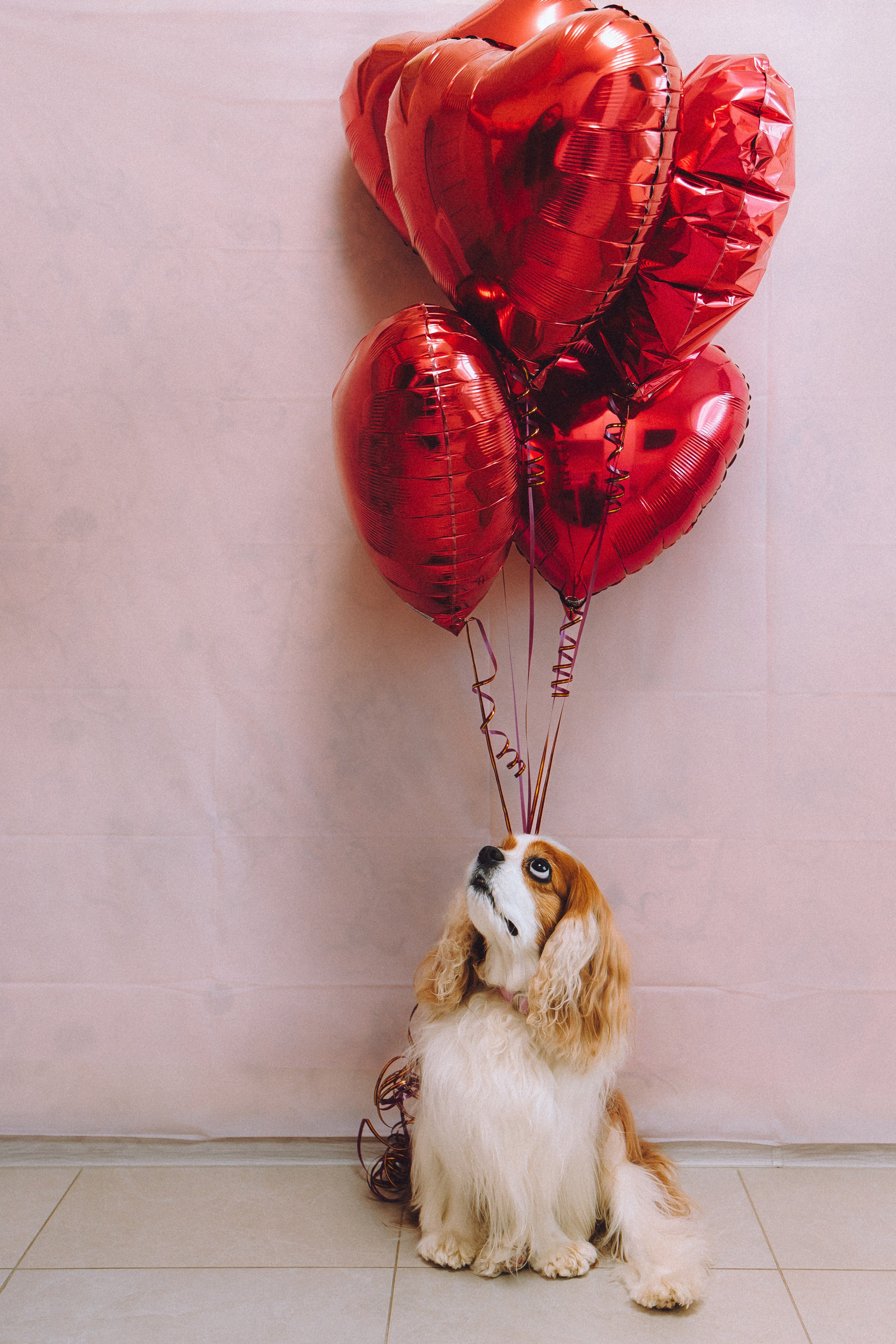 Наташа и Вики